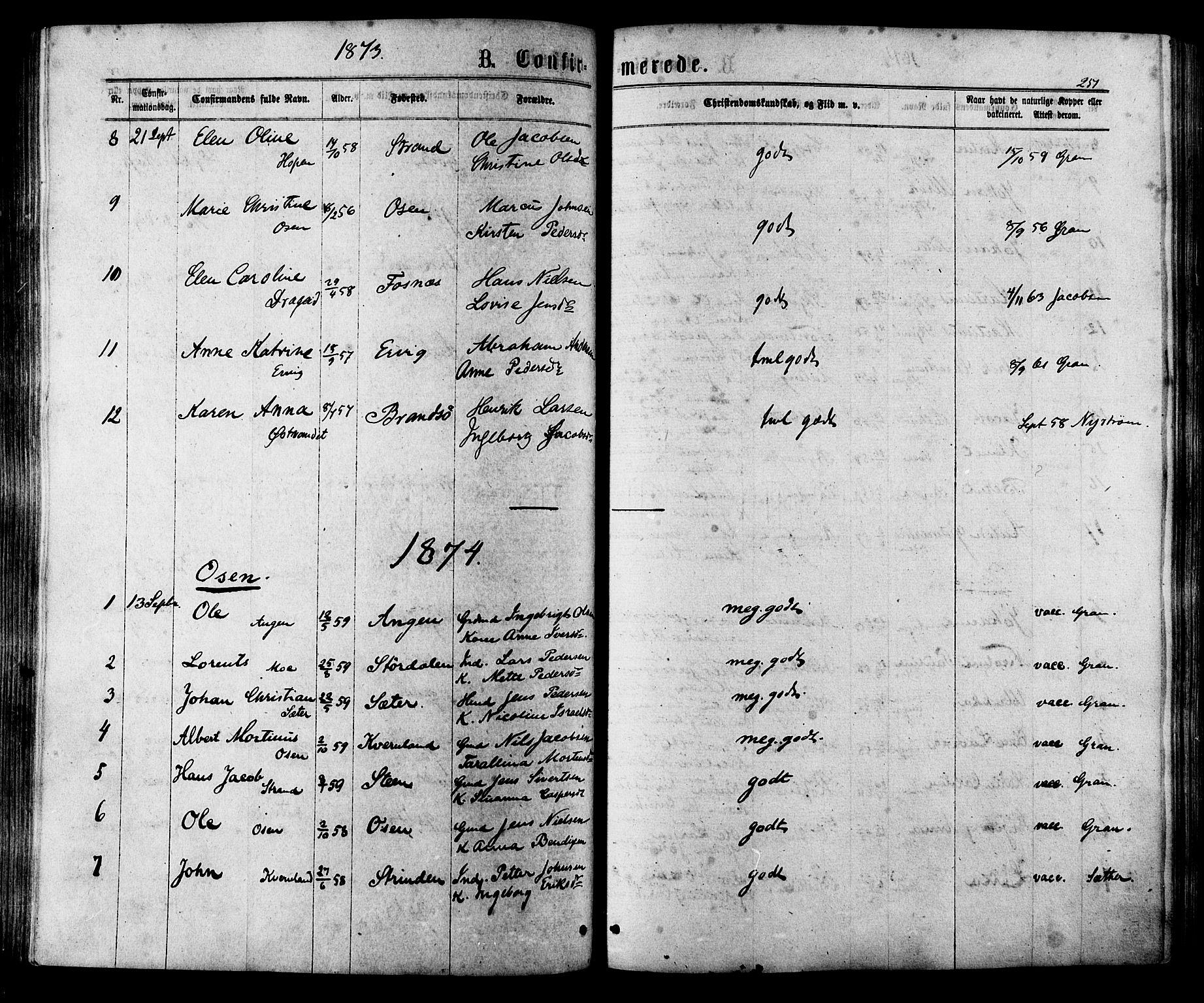 Ministerialprotokoller, klokkerbøker og fødselsregistre - Sør-Trøndelag, SAT/A-1456/657/L0706: Parish register (official) no. 657A07, 1867-1878, p. 251