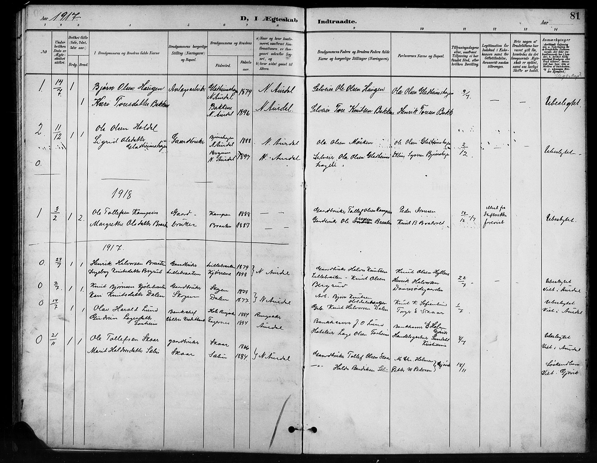 Nord-Aurdal prestekontor, SAH/PREST-132/H/Ha/Hab/L0011: Parish register (copy) no. 11, 1897-1918, p. 81