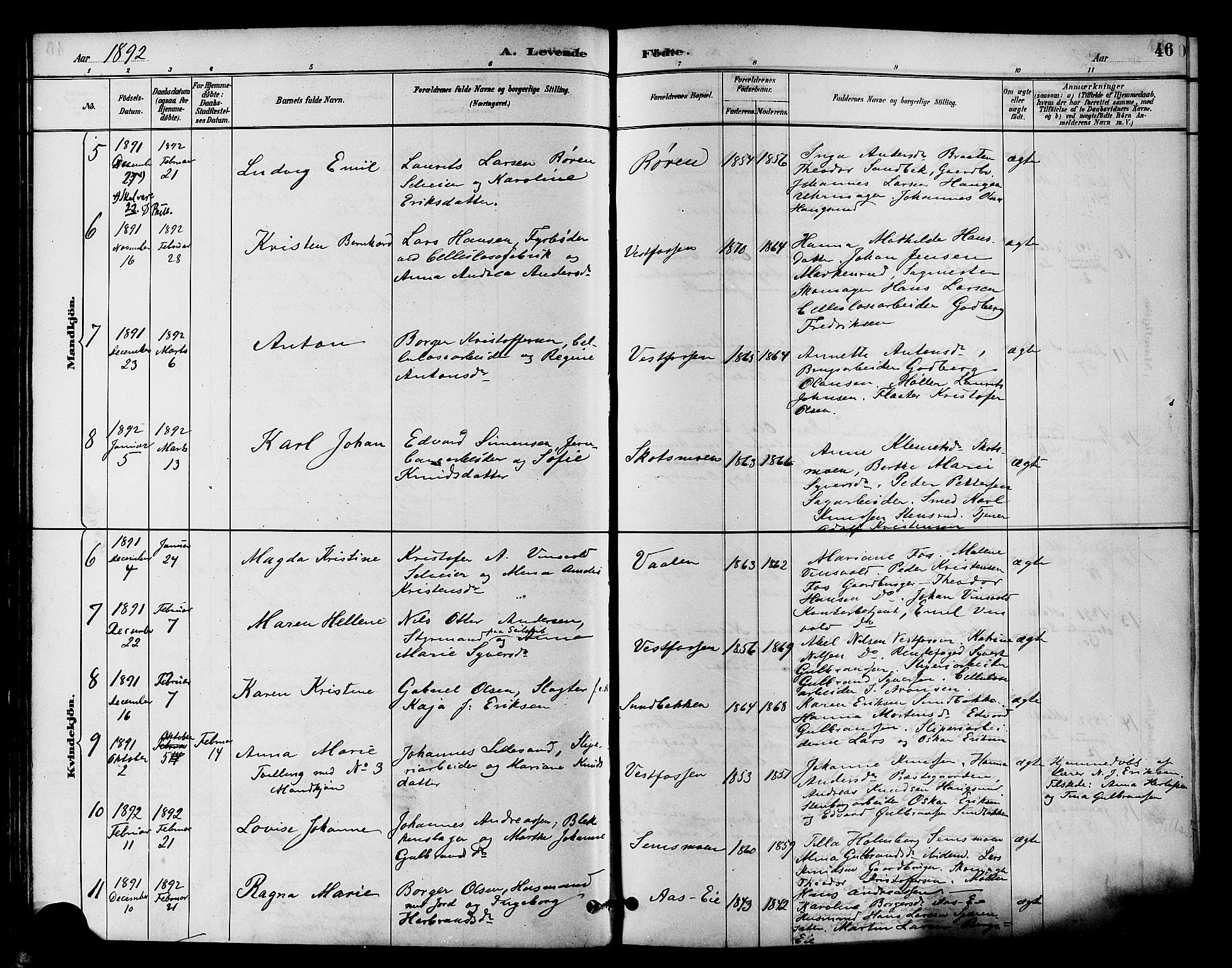 Eiker kirkebøker, SAKO/A-4/F/Fb/L0002: Parish register (official) no. II 2, 1889-1896, p. 46