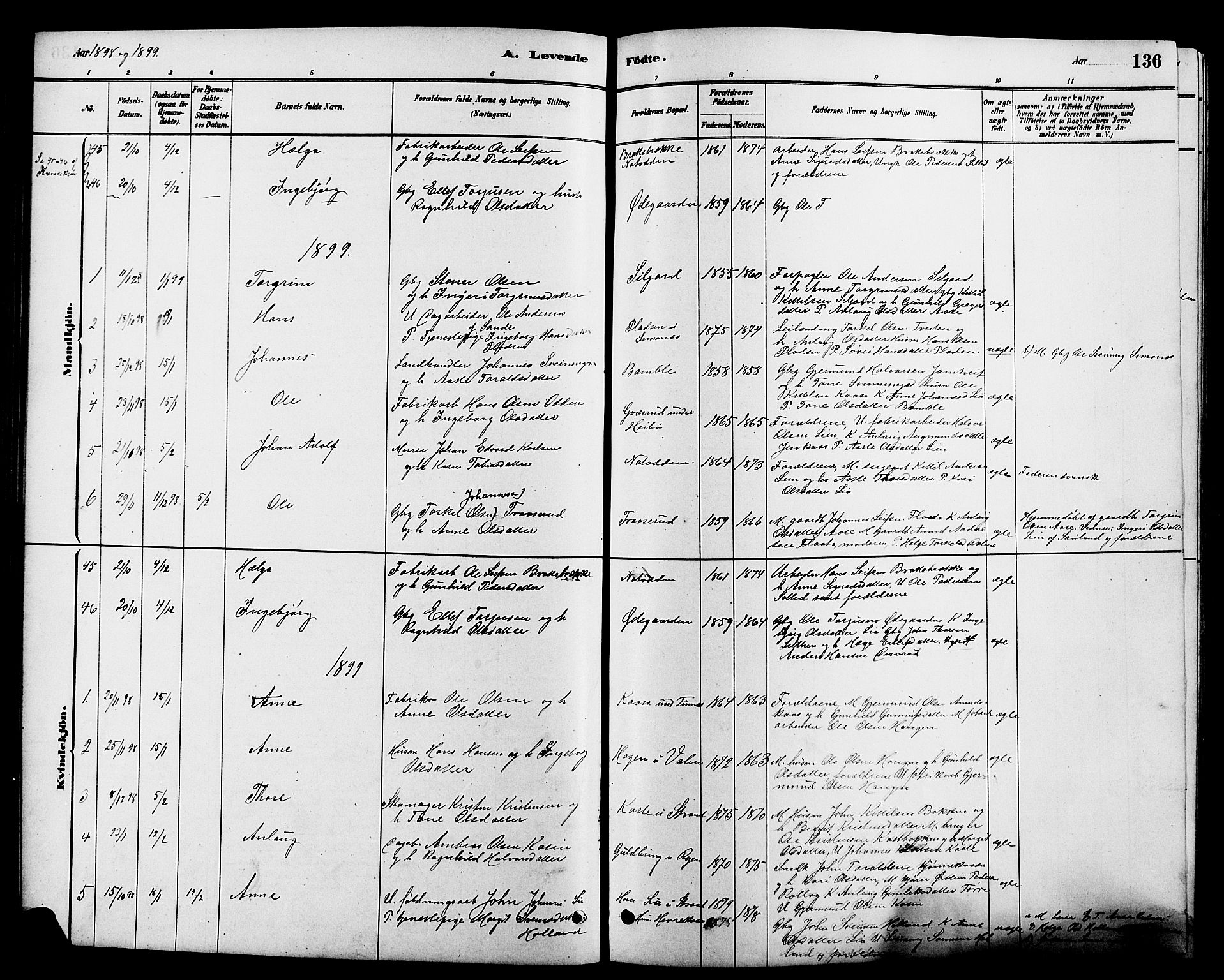 Heddal kirkebøker, SAKO/A-268/G/Ga/L0002: Parish register (copy) no. I 2, 1879-1908, p. 136