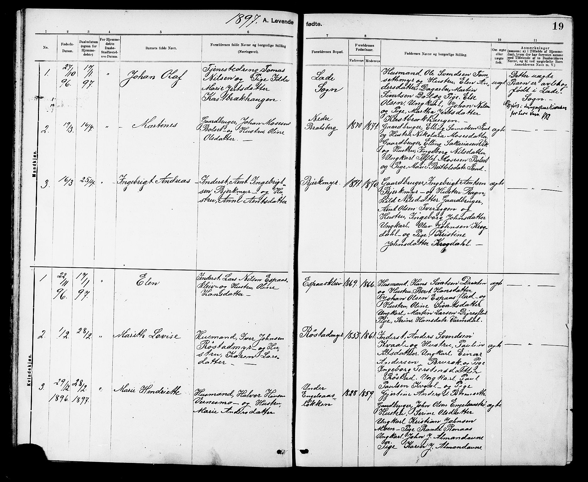 Ministerialprotokoller, klokkerbøker og fødselsregistre - Sør-Trøndelag, SAT/A-1456/608/L0341: Parish register (copy) no. 608C07, 1890-1912, p. 19