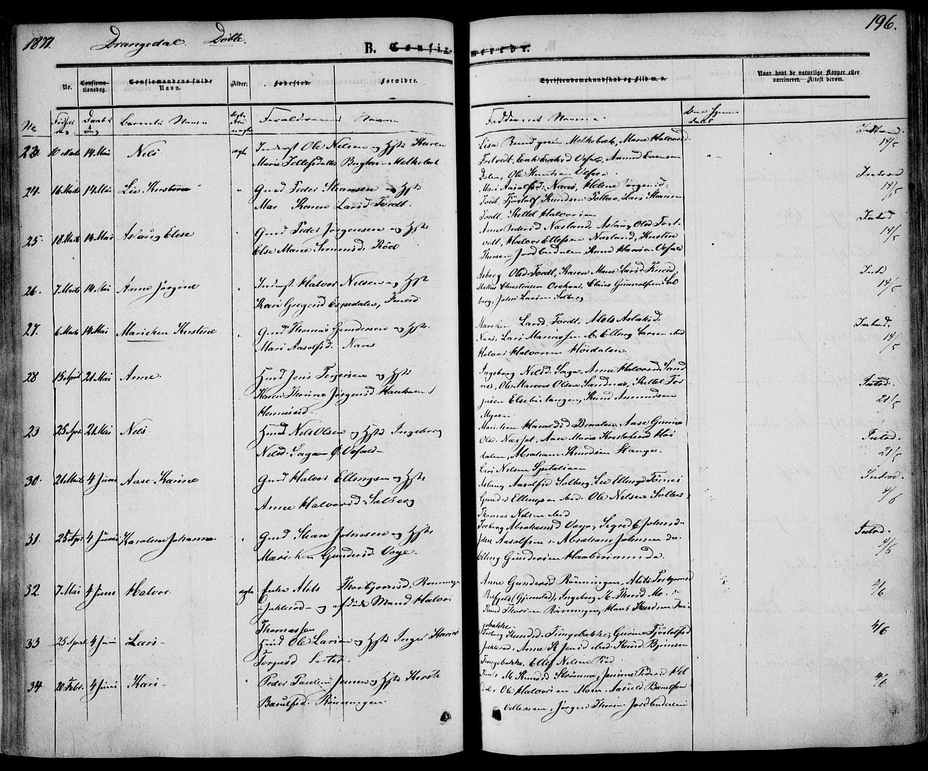 Drangedal kirkebøker, AV/SAKO-A-258/F/Fa/L0008: Parish register (official) no. 8, 1857-1871, p. 196