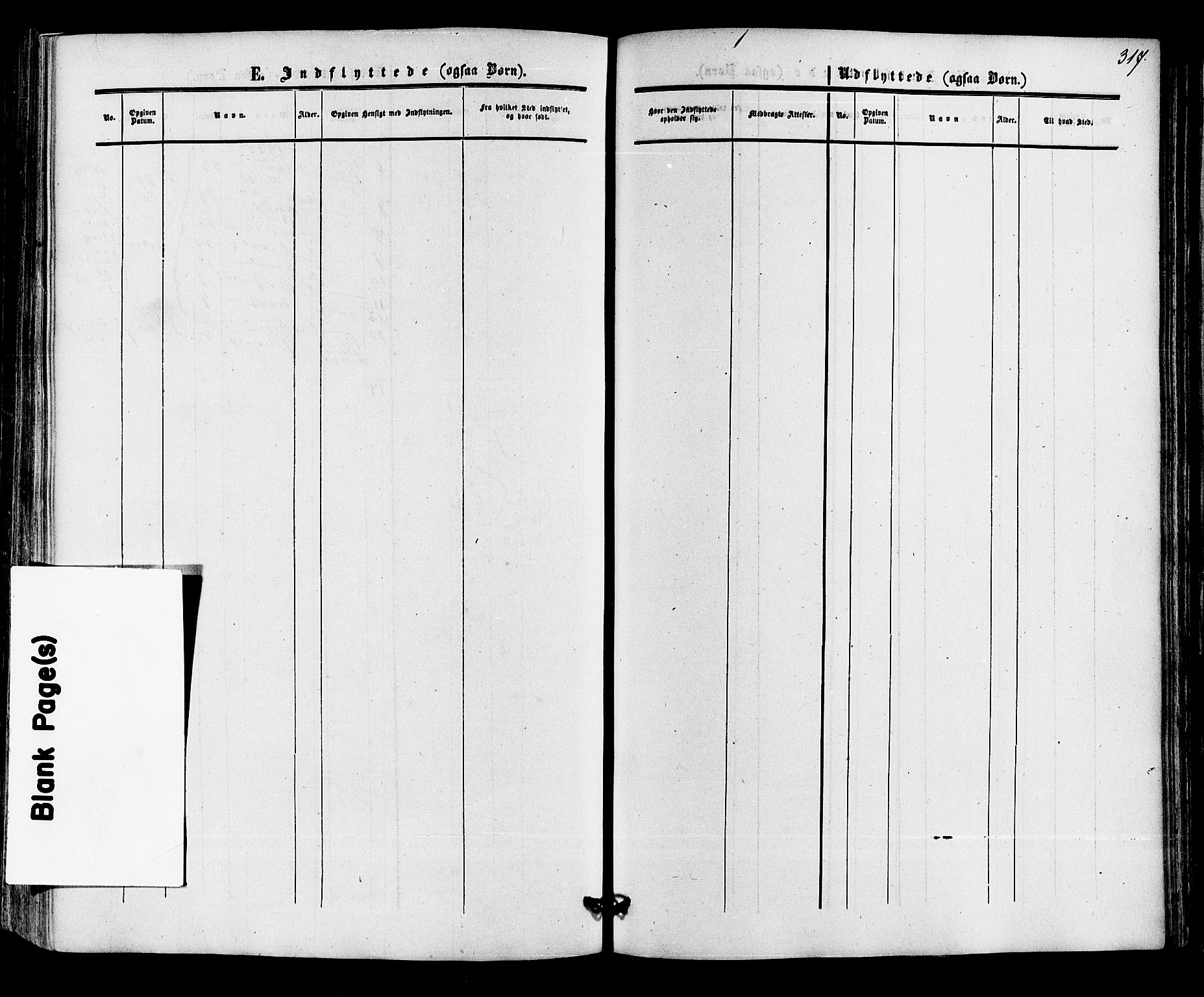 Røyken kirkebøker, AV/SAKO-A-241/F/Fa/L0006: Parish register (official) no. 6, 1857-1875, p. 317