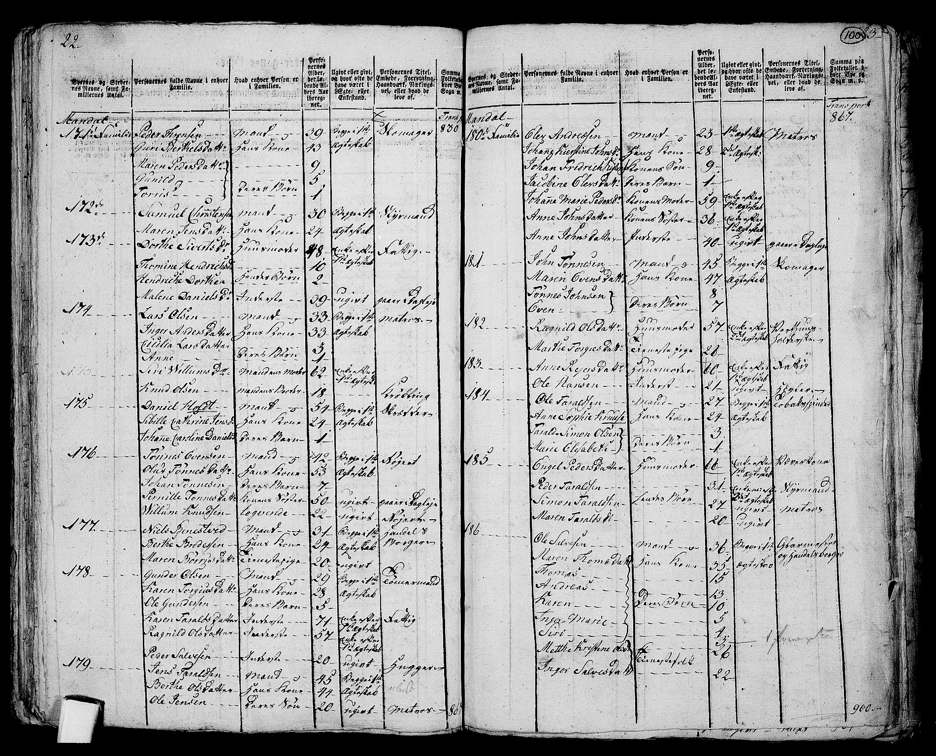 RA, 1801 census for 1019P Mandal, 1801, p. 99b-100a