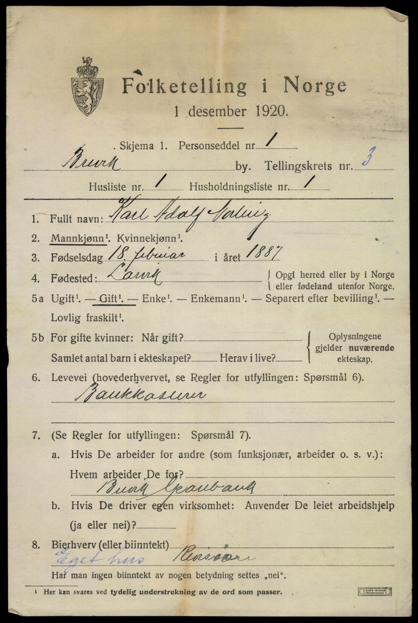 SAKO, 1920 census for Brevik, 1920, p. 4656