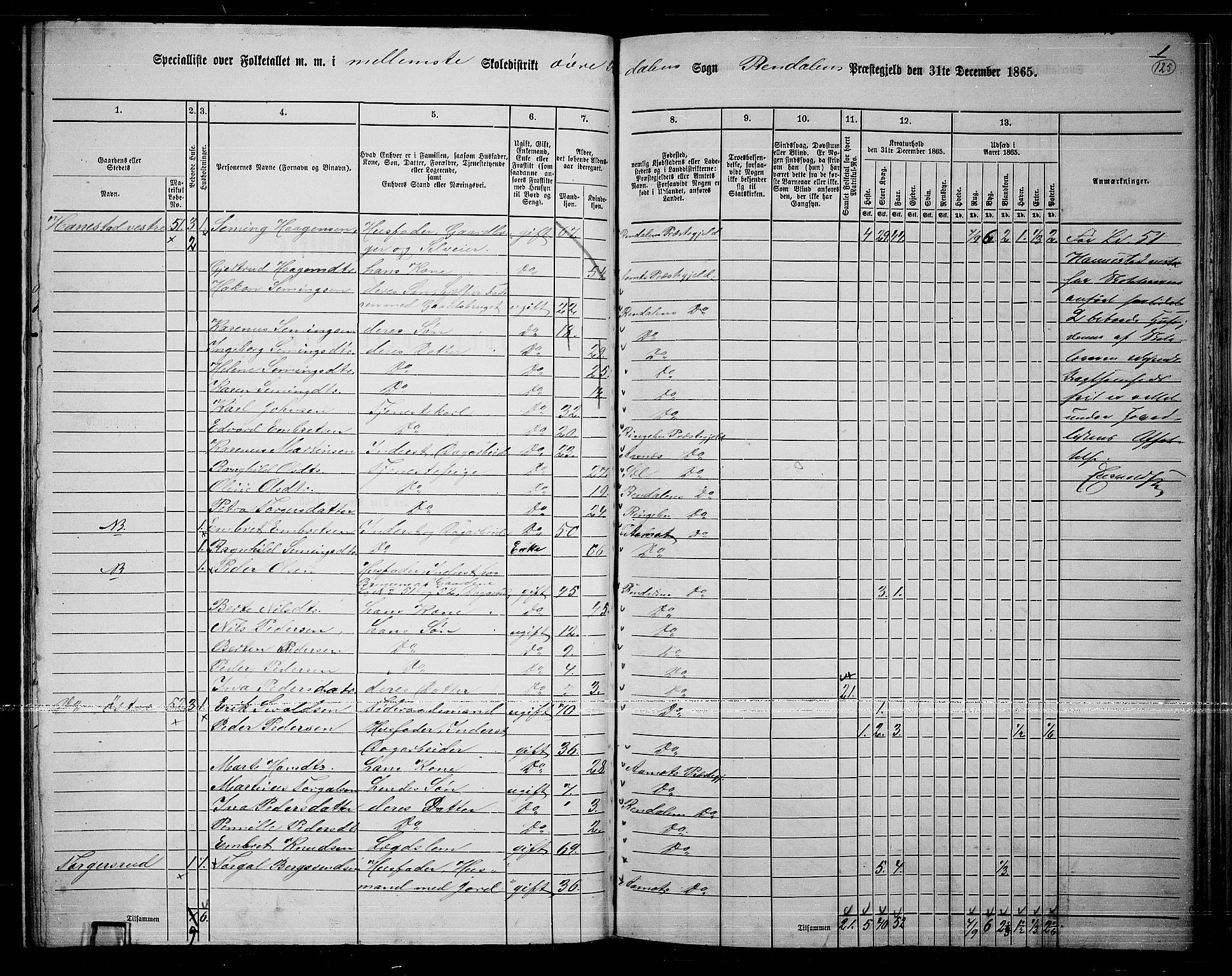 RA, 1865 census for Rendalen, 1865, p. 104