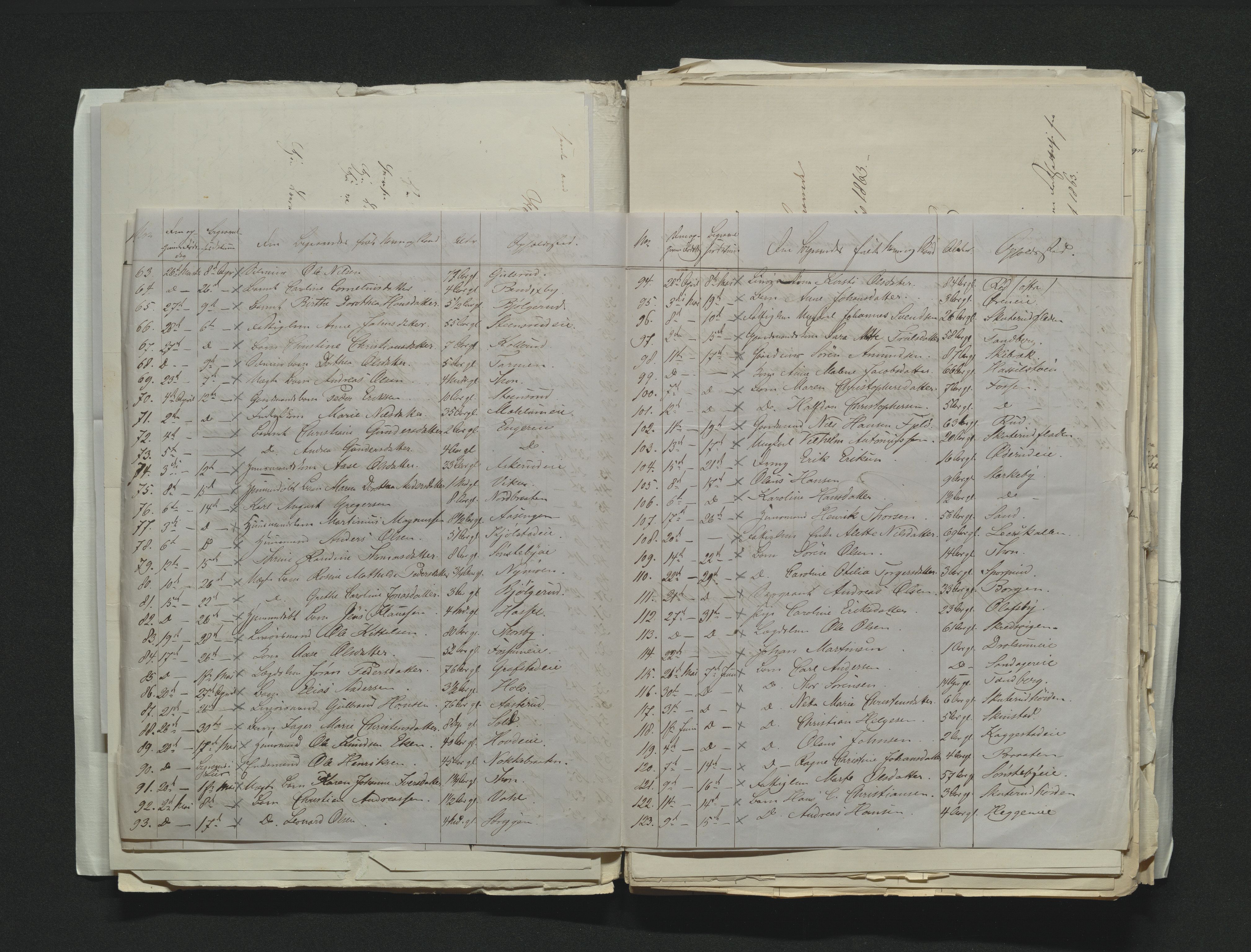 Eiker, Modum og Sigdal sorenskriveri, AV/SAKO-A-123/H/Ha/Hab/L0011: Dødsfallsmeldinger, 1862-1865, p. 226
