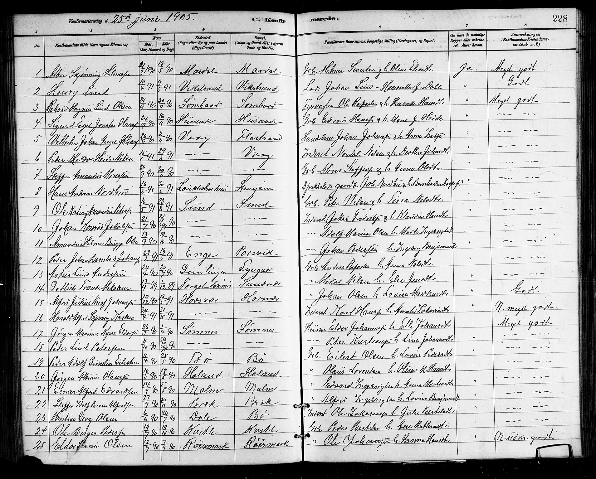 Ministerialprotokoller, klokkerbøker og fødselsregistre - Nordland, SAT/A-1459/812/L0188: Parish register (copy) no. 812C06, 1884-1912, p. 228