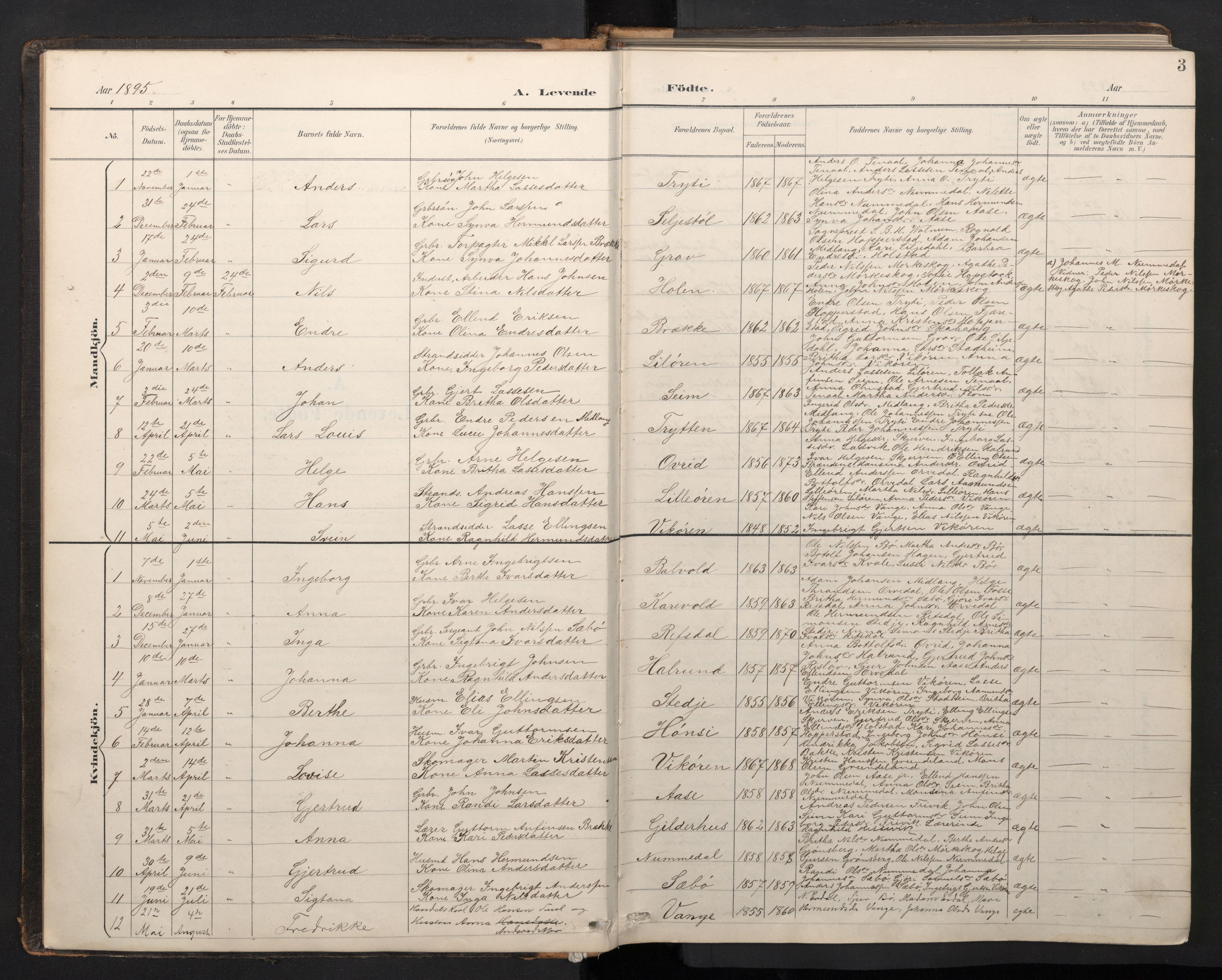 Vik sokneprestembete, SAB/A-81501: Parish register (copy) no. A 4, 1895-1914, p. 2b-3a