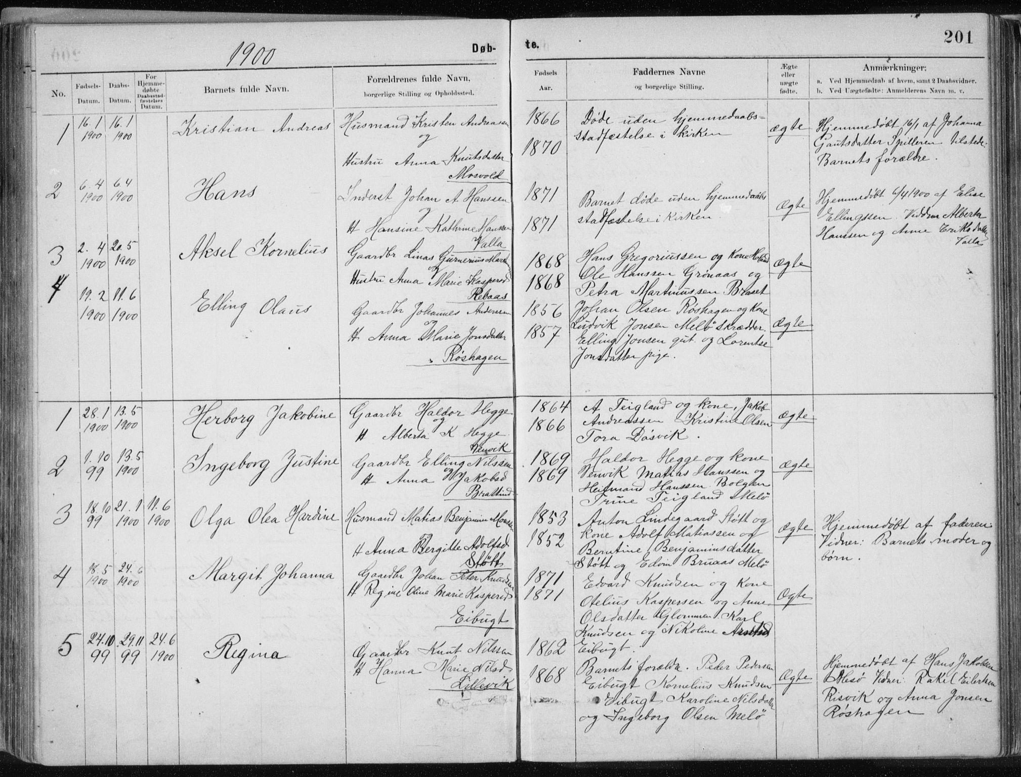 Ministerialprotokoller, klokkerbøker og fødselsregistre - Nordland, SAT/A-1459/843/L0636: Parish register (copy) no. 843C05, 1884-1909, p. 201