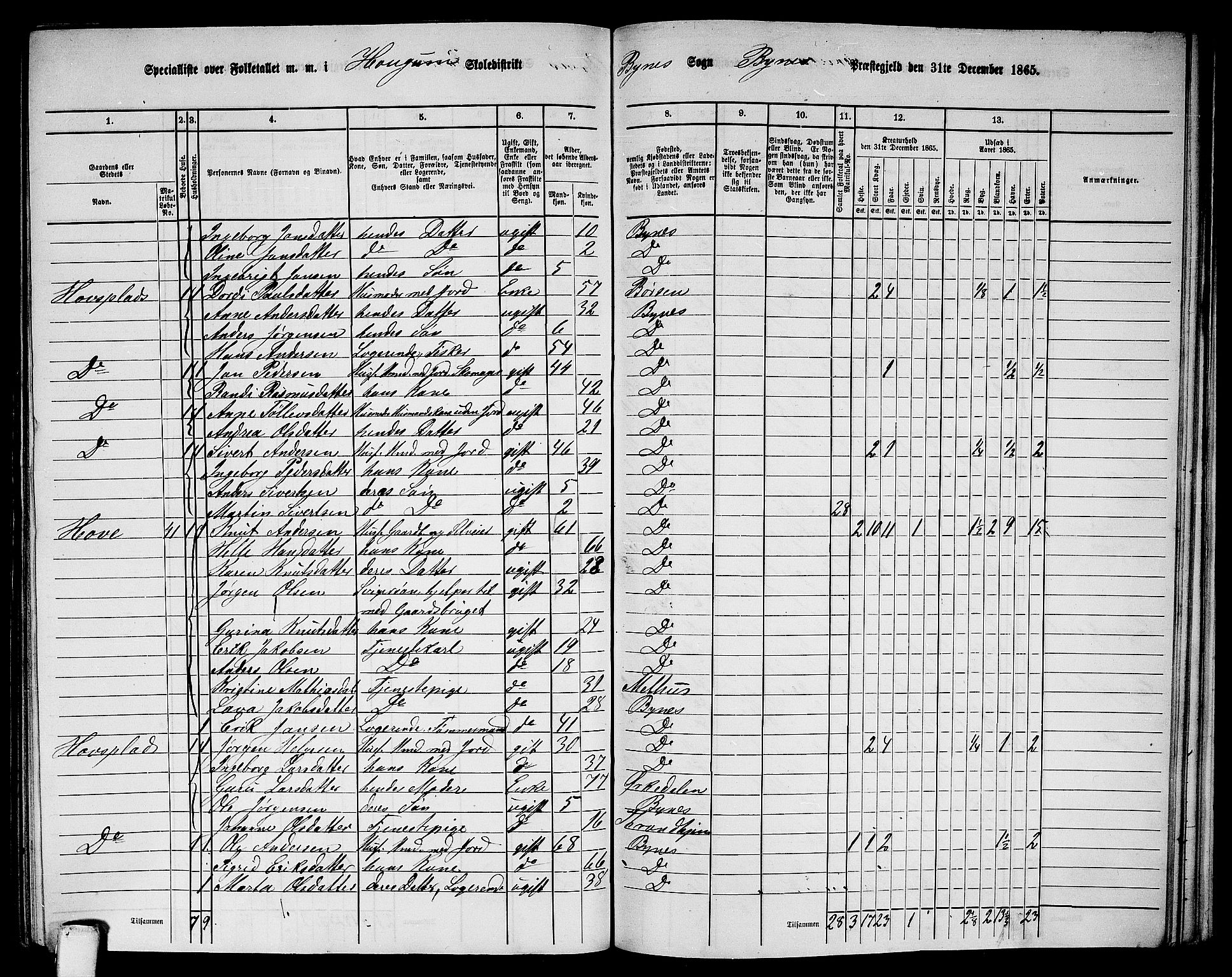 RA, 1865 census for Byneset, 1865, p. 73