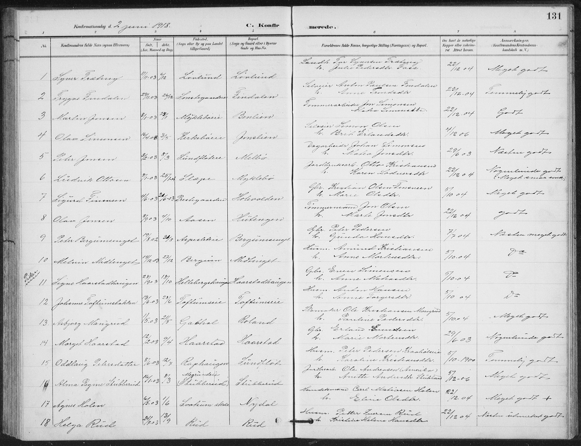 Vestre Gausdal prestekontor, SAH/PREST-094/H/Ha/Hab/L0004: Parish register (copy) no. 4, 1898-1939, p. 131