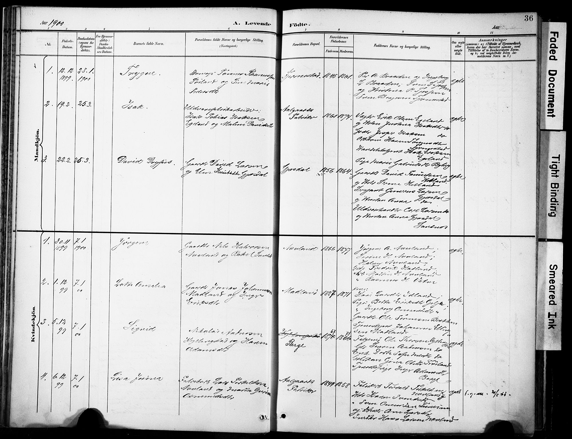 Lye sokneprestkontor, AV/SAST-A-101794/001/30BA/L0012: Parish register (official) no. A 11, 1896-1909, p. 36