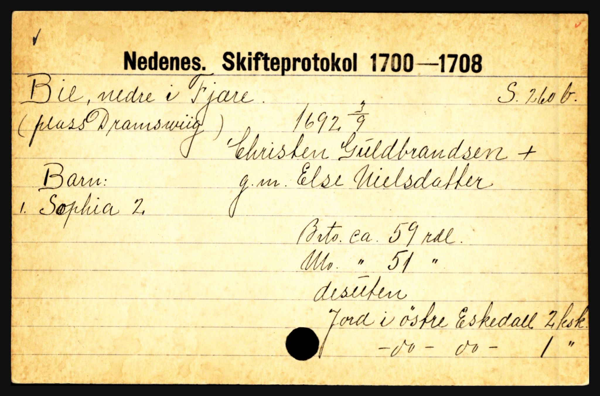 Nedenes sorenskriveri før 1824, AV/SAK-1221-0007/H, p. 2313