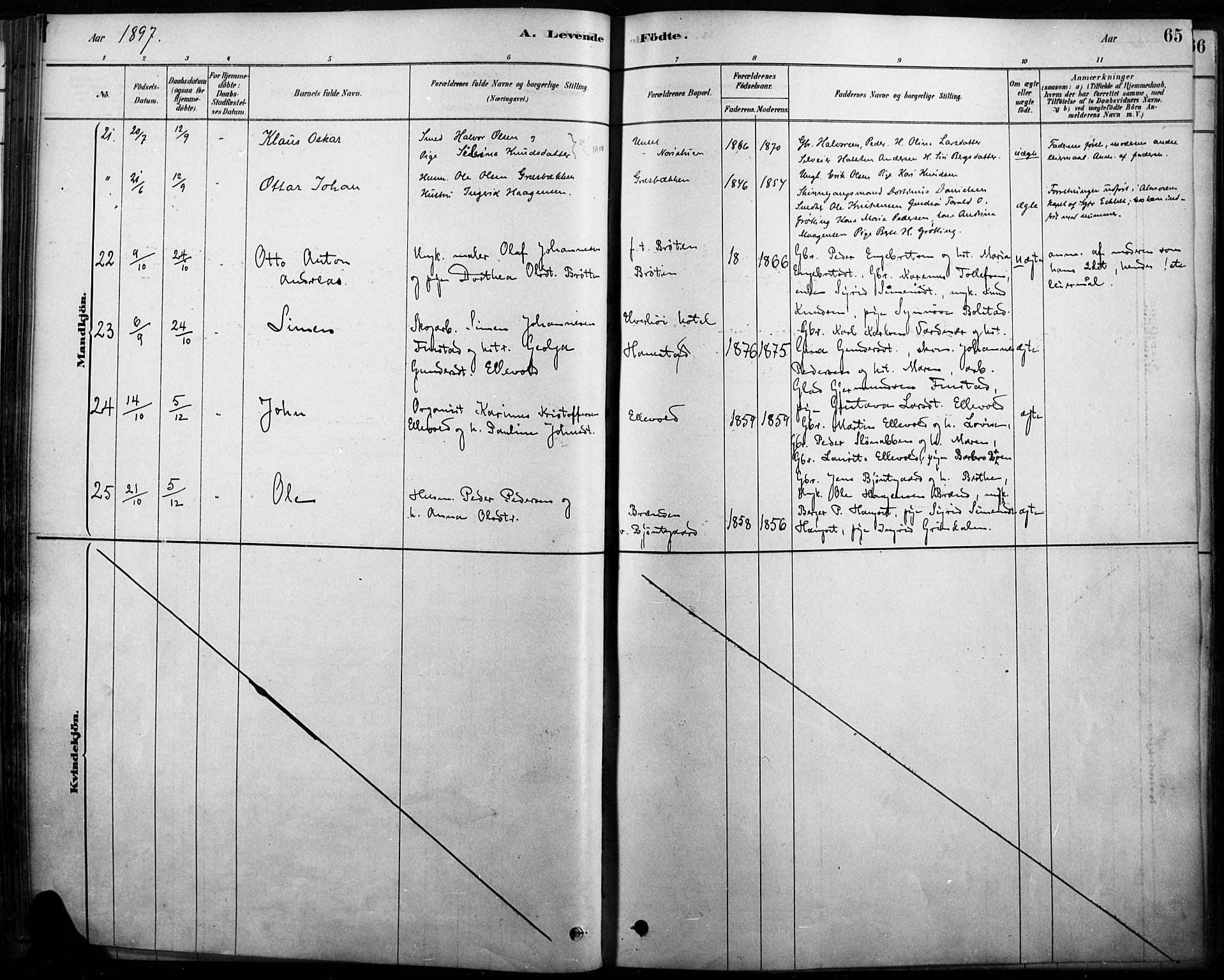 Rendalen prestekontor, AV/SAH-PREST-054/H/Ha/Haa/L0009: Parish register (official) no. 9, 1878-1901, p. 65