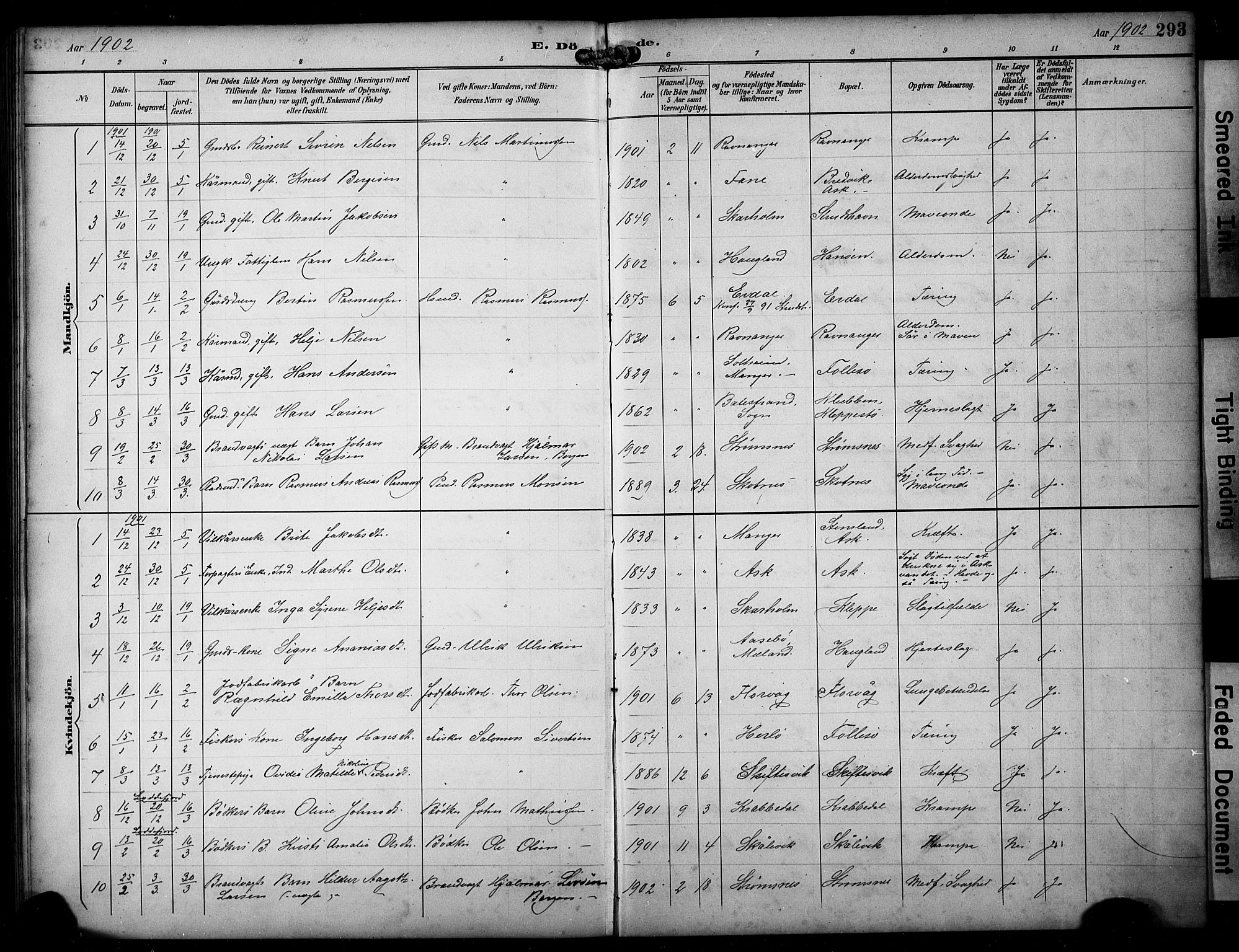 Askøy Sokneprestembete, AV/SAB-A-74101/H/Ha/Hab/Haba/L0009: Parish register (copy) no. A 9, 1894-1903, p. 293