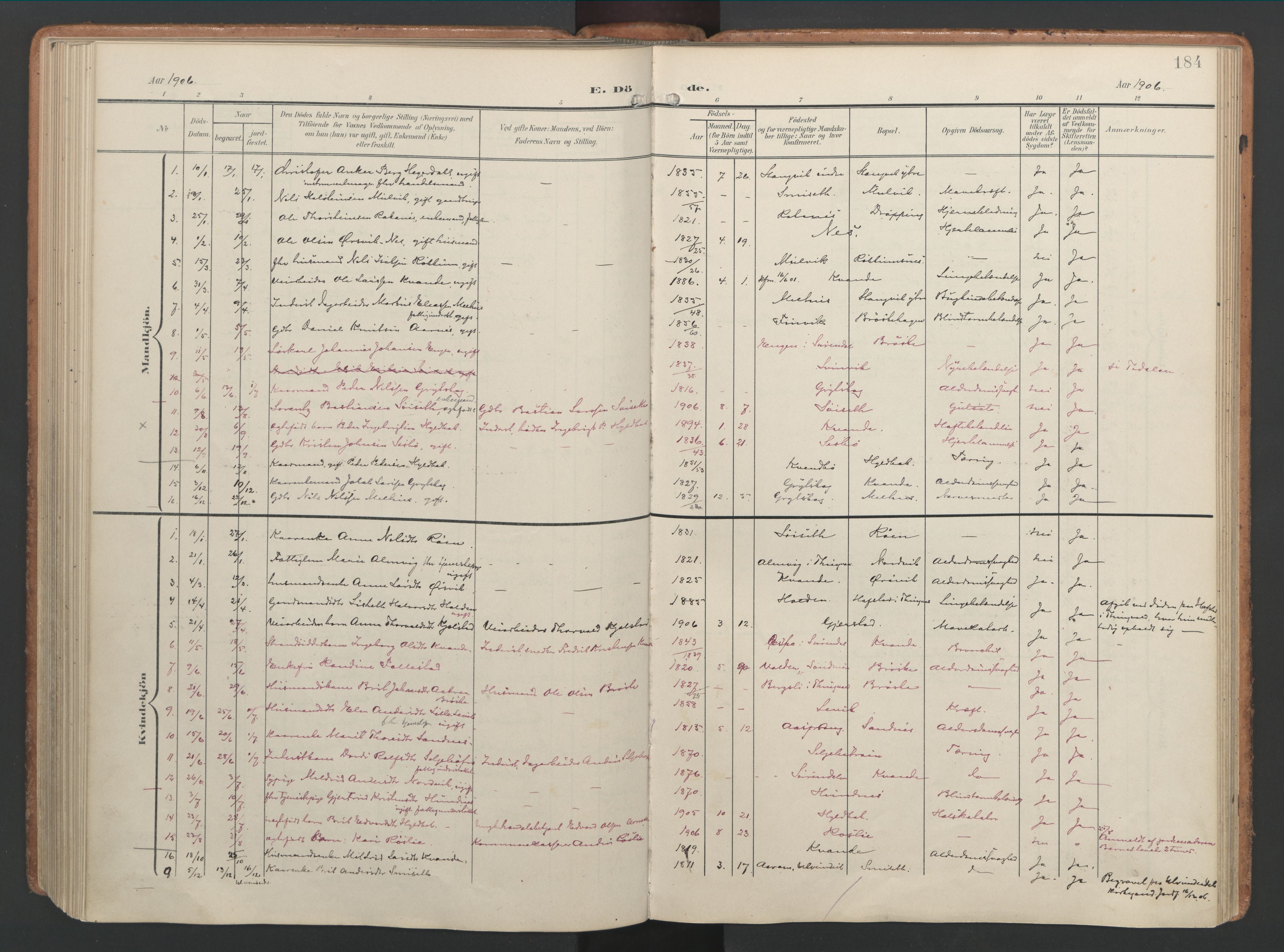 Ministerialprotokoller, klokkerbøker og fødselsregistre - Møre og Romsdal, AV/SAT-A-1454/592/L1030: Parish register (official) no. 592A08, 1901-1925, p. 184