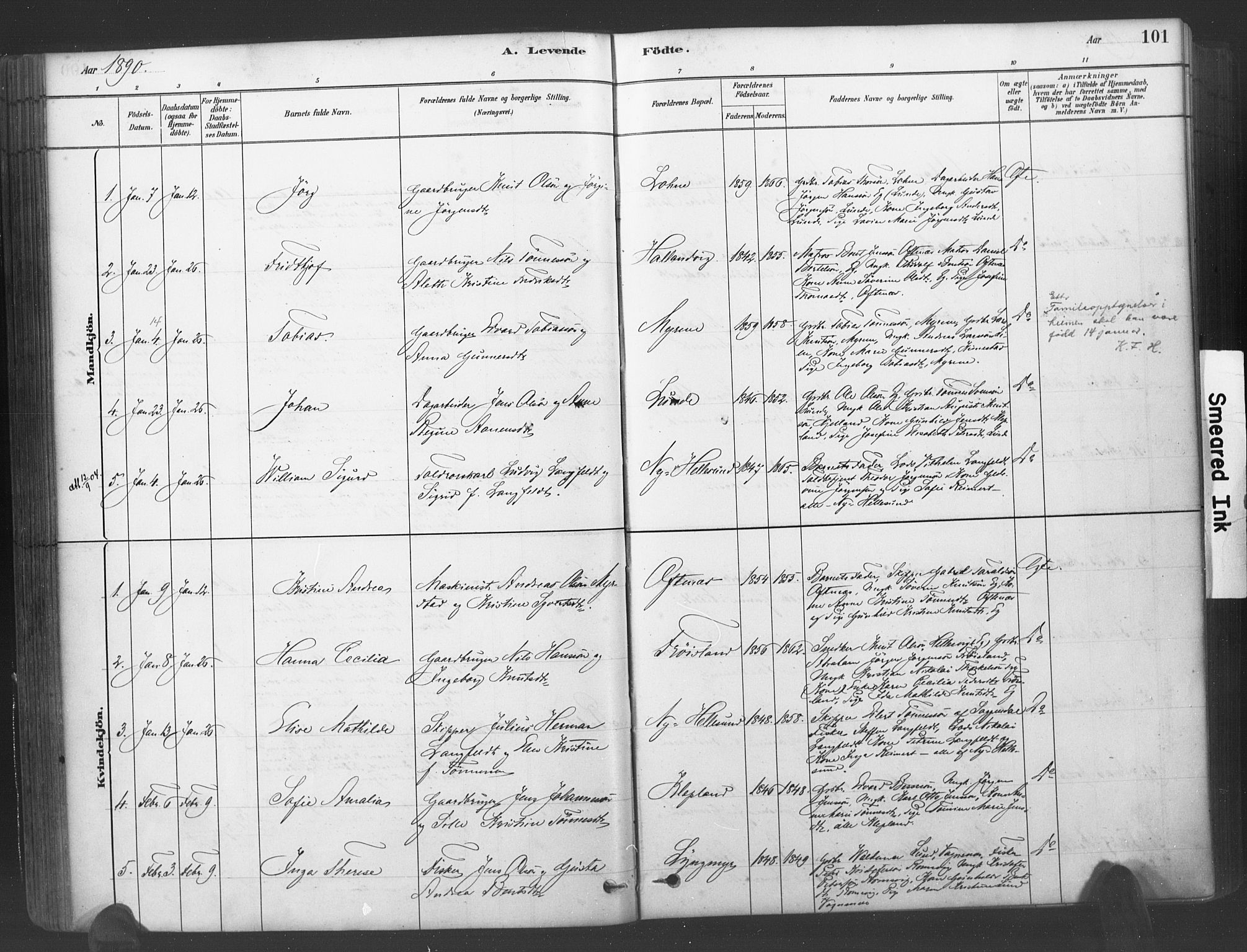 Søgne sokneprestkontor, SAK/1111-0037/F/Fa/Fab/L0012: Parish register (official) no. A 12, 1880-1891, p. 101