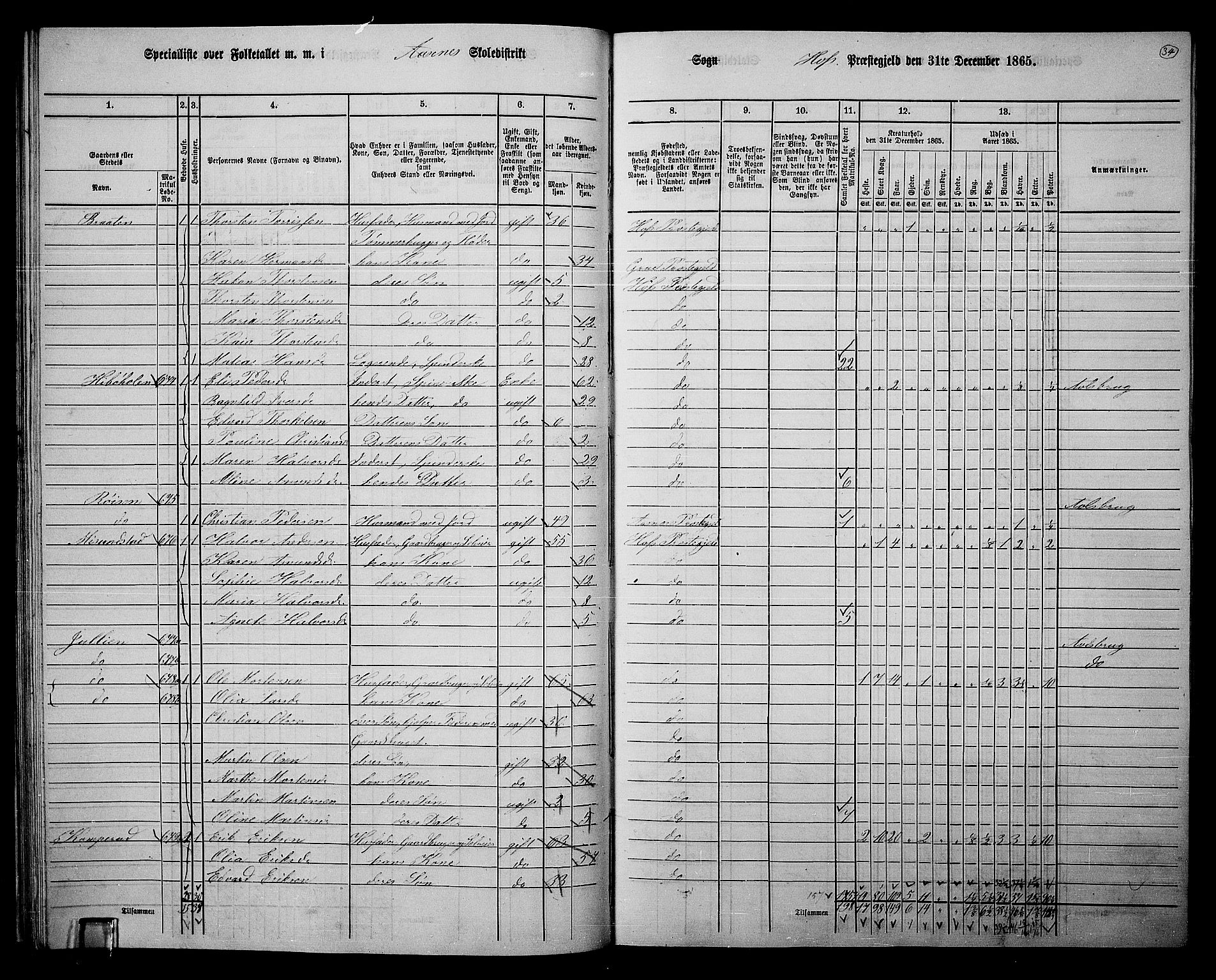 RA, 1865 census for Hof, 1865, p. 31