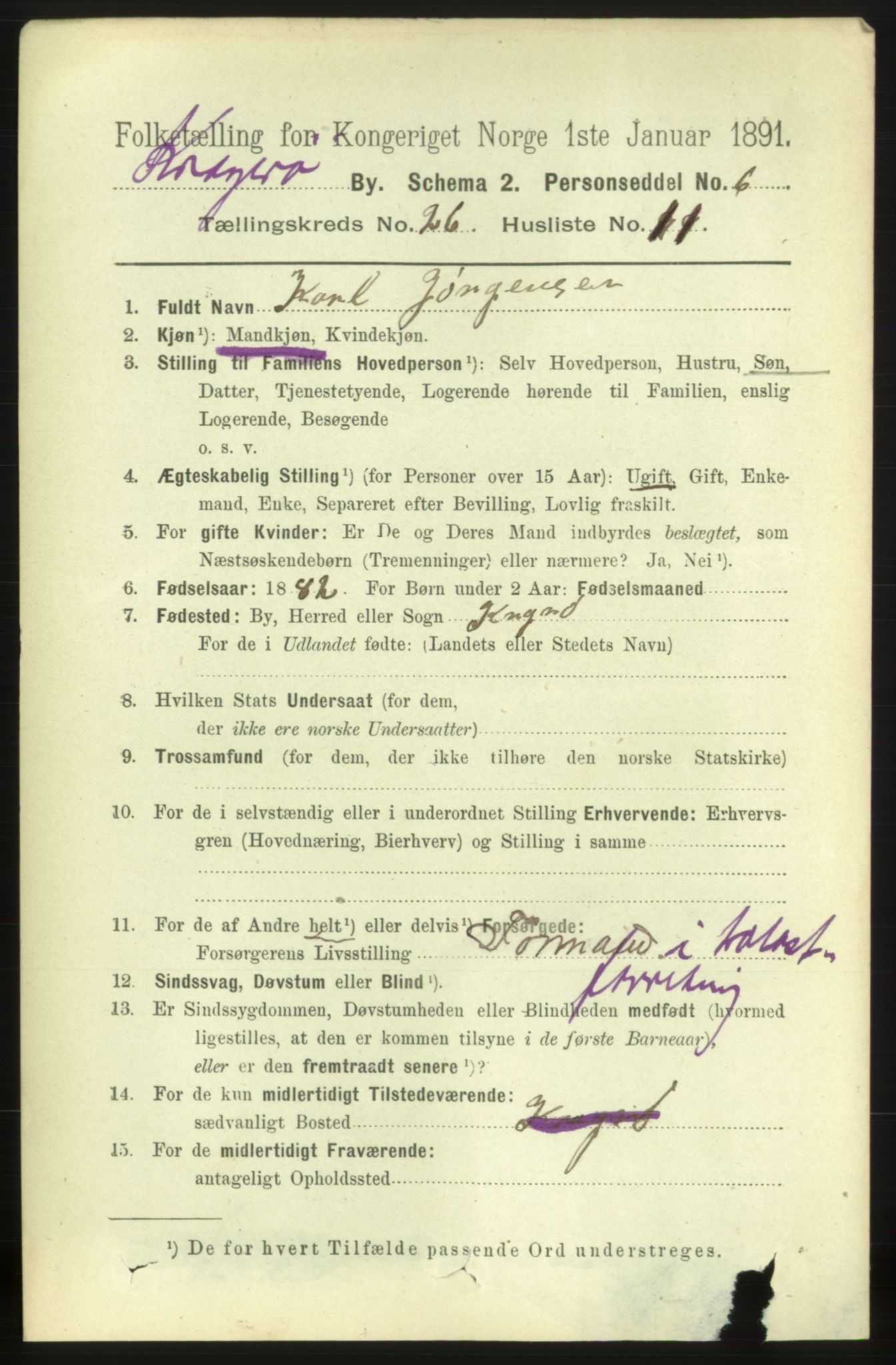 RA, 1891 census for 0801 Kragerø, 1891, p. 5287