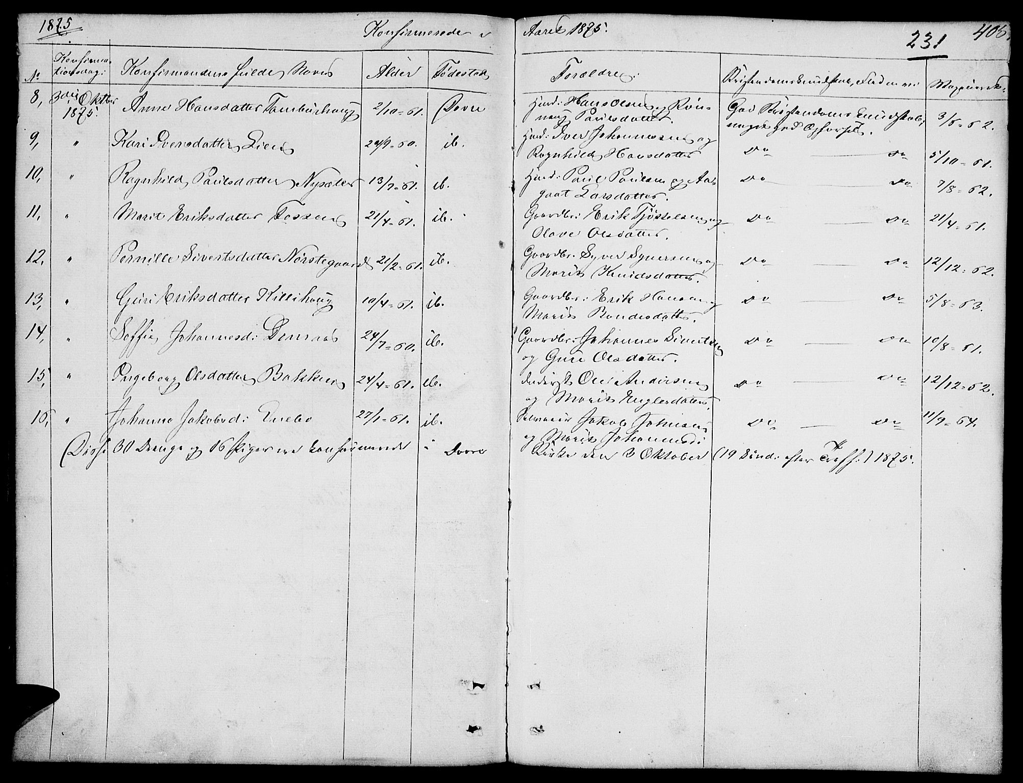 Dovre prestekontor, SAH/PREST-066/H/Ha/Hab/L0001: Parish register (copy) no. 1, 1862-1880, p. 404