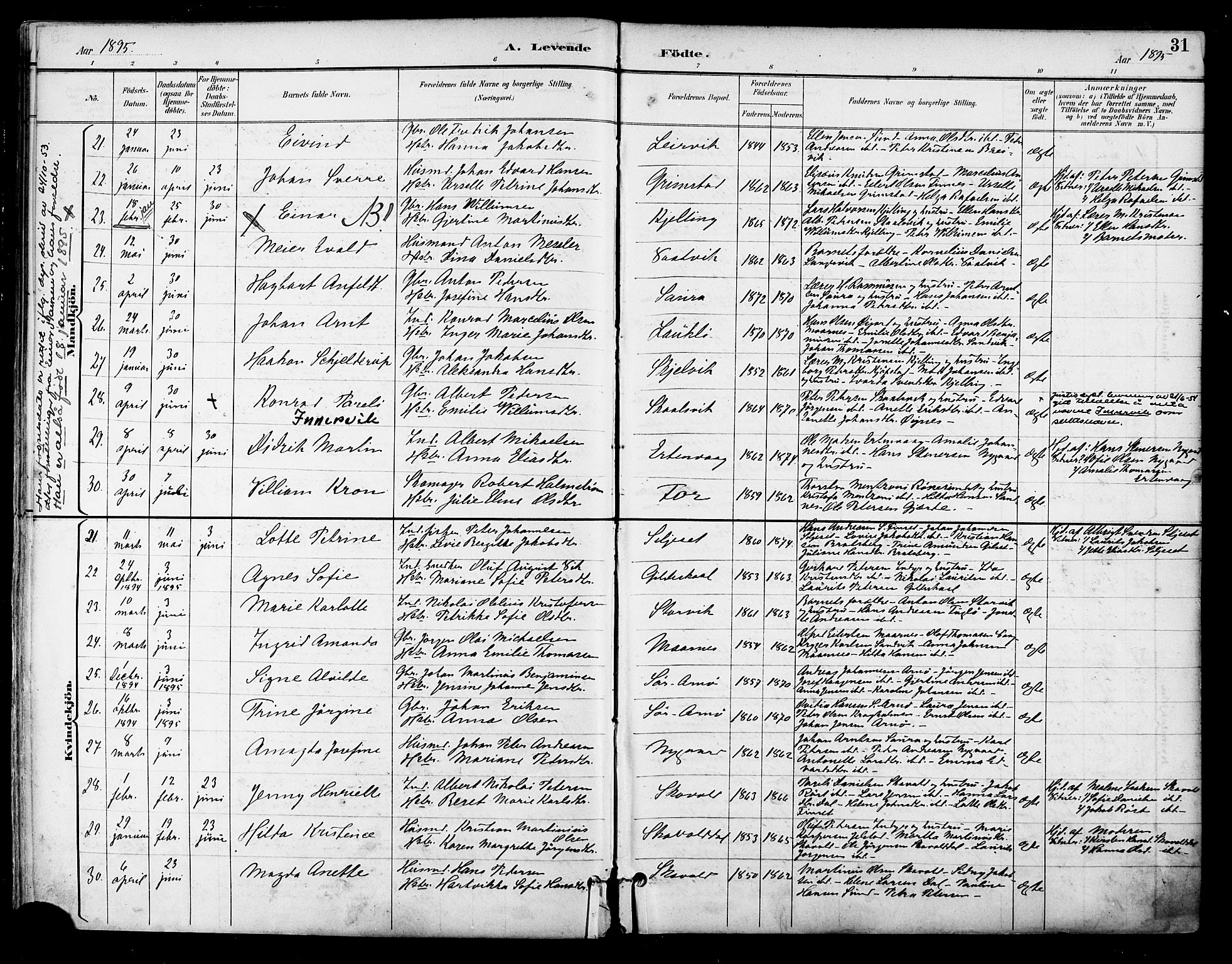 Ministerialprotokoller, klokkerbøker og fødselsregistre - Nordland, AV/SAT-A-1459/805/L0101: Parish register (official) no. 805A07, 1892-1899, p. 31