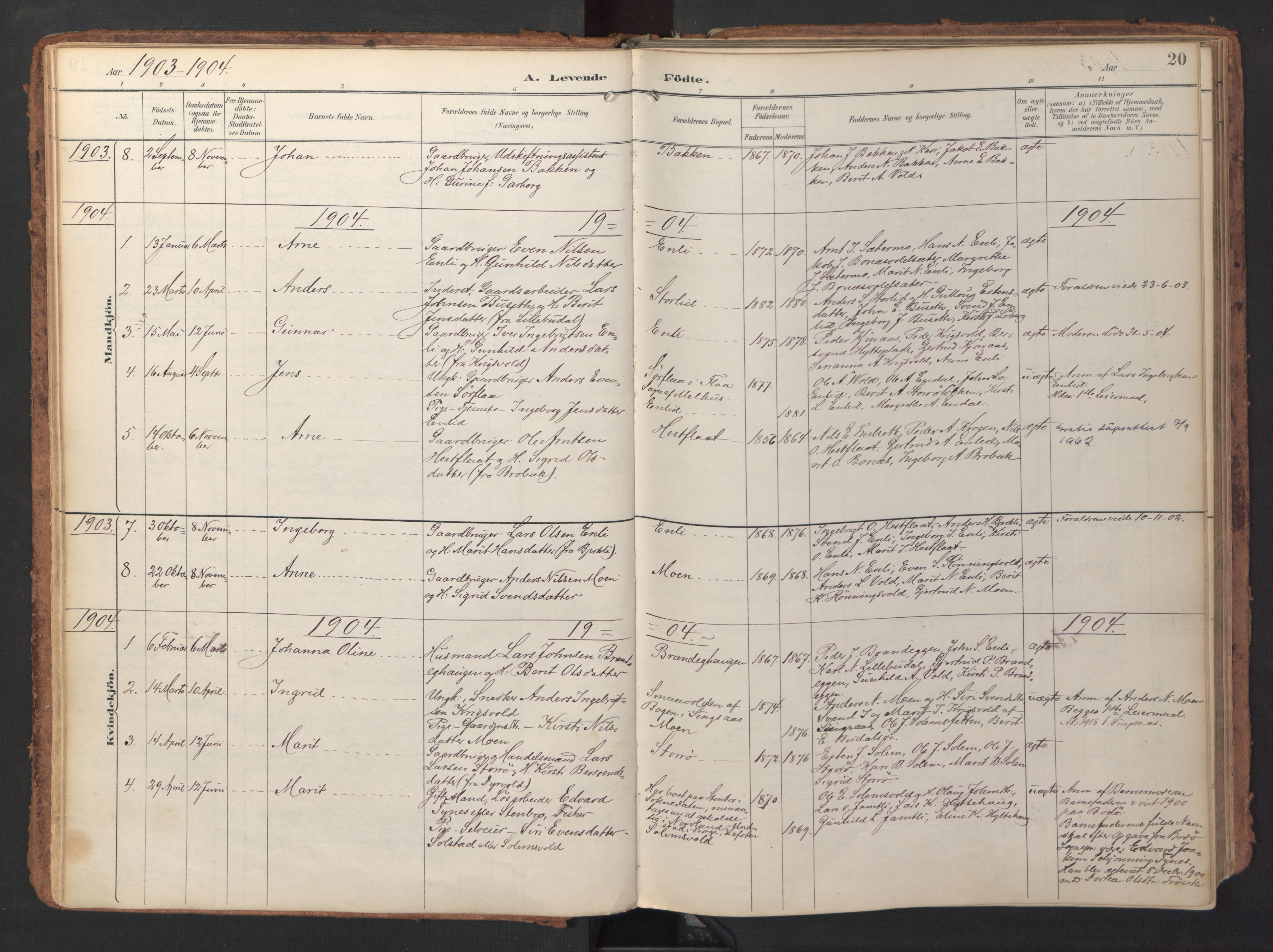 Ministerialprotokoller, klokkerbøker og fødselsregistre - Sør-Trøndelag, SAT/A-1456/690/L1050: Parish register (official) no. 690A01, 1889-1929, p. 20