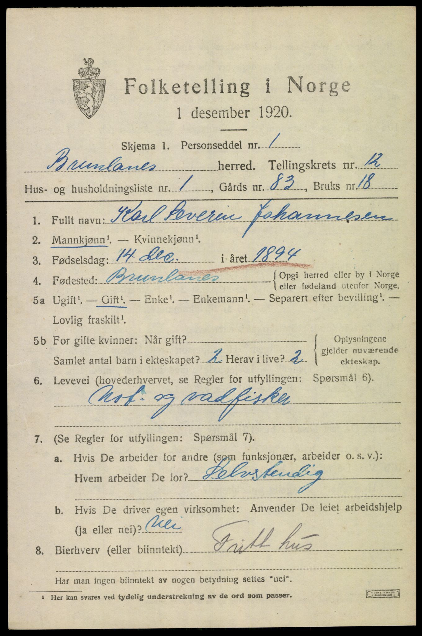 SAKO, 1920 census for Brunlanes, 1920, p. 10503