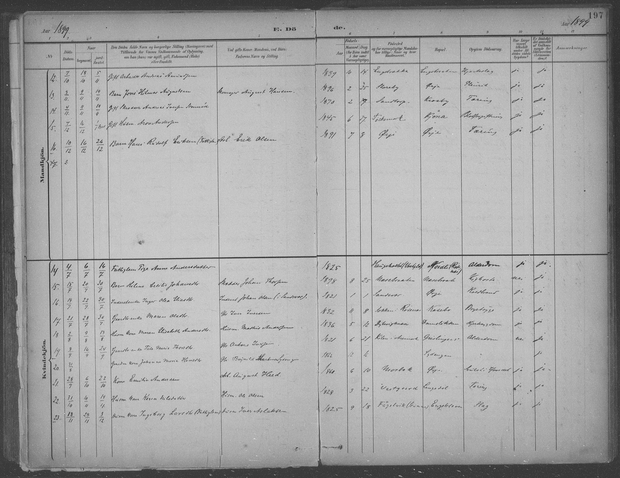 Aremark prestekontor Kirkebøker, SAO/A-10899/F/Fb/L0005: Parish register (official) no. II 5, 1895-1919, p. 197