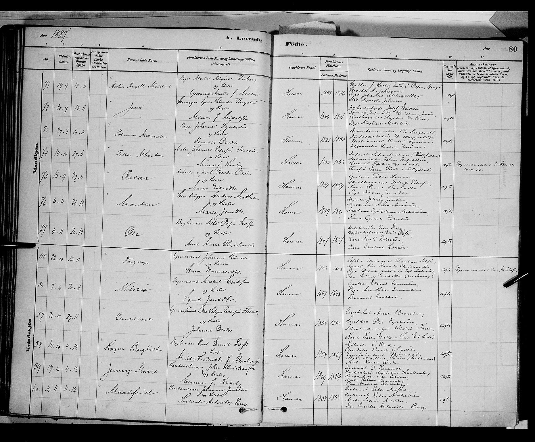 Vang prestekontor, Hedmark, AV/SAH-PREST-008/H/Ha/Haa/L0016: Parish register (official) no. 16, 1878-1889, p. 80