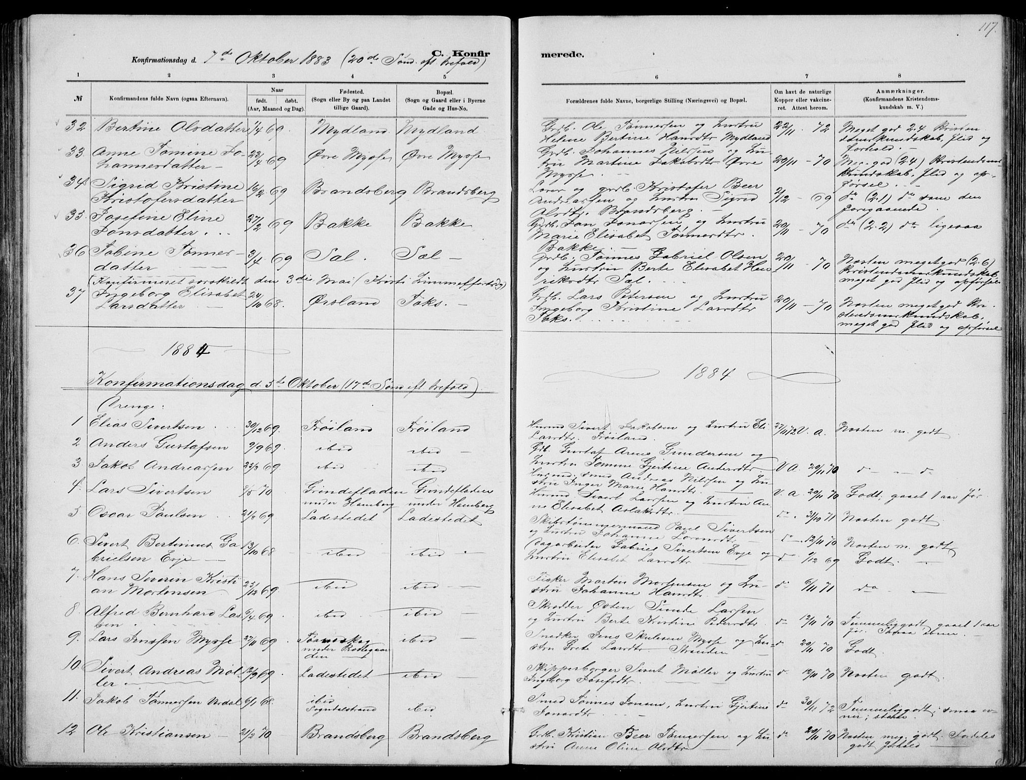 Sokndal sokneprestkontor, AV/SAST-A-101808: Parish register (copy) no. B 4, 1880-1891, p. 117