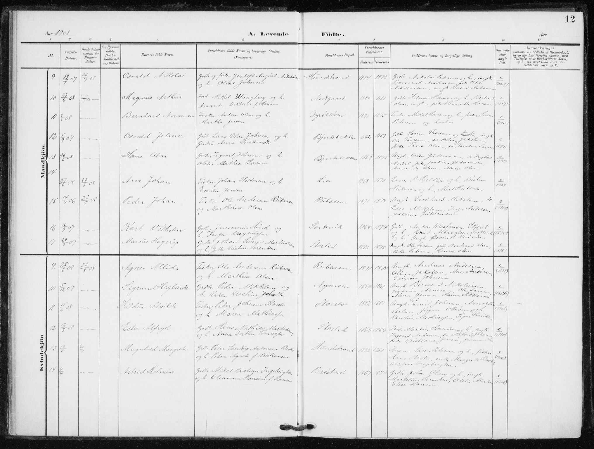 Tranøy sokneprestkontor, AV/SATØ-S-1313/I/Ia/Iaa/L0013kirke: Parish register (official) no. 13, 1905-1922, p. 12