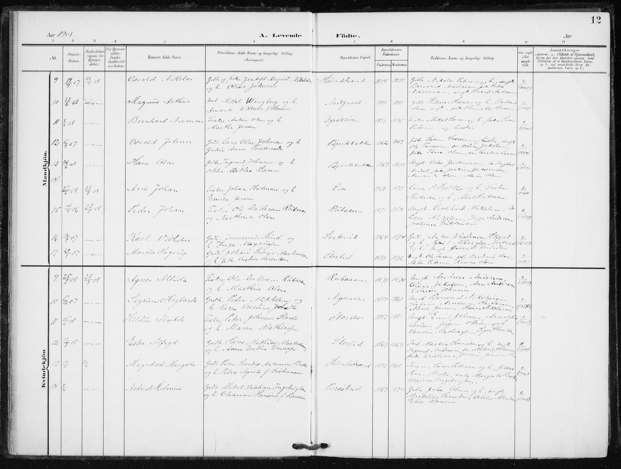 Tranøy sokneprestkontor, AV/SATØ-S-1313/I/Ia/Iaa/L0013kirke: Parish register (official) no. 13, 1905-1922, p. 12