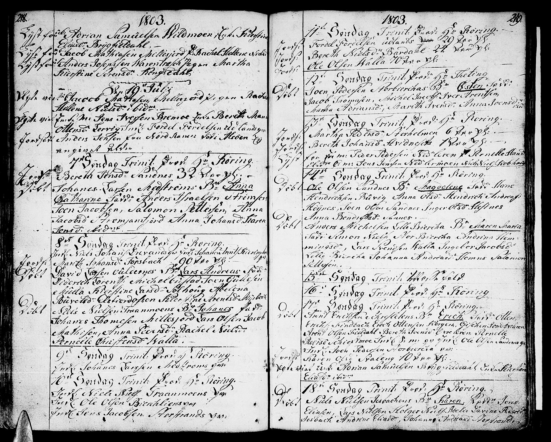 Ministerialprotokoller, klokkerbøker og fødselsregistre - Nordland, SAT/A-1459/825/L0349: Parish register (official) no. 825A05 /1, 1789-1806, p. 218-219
