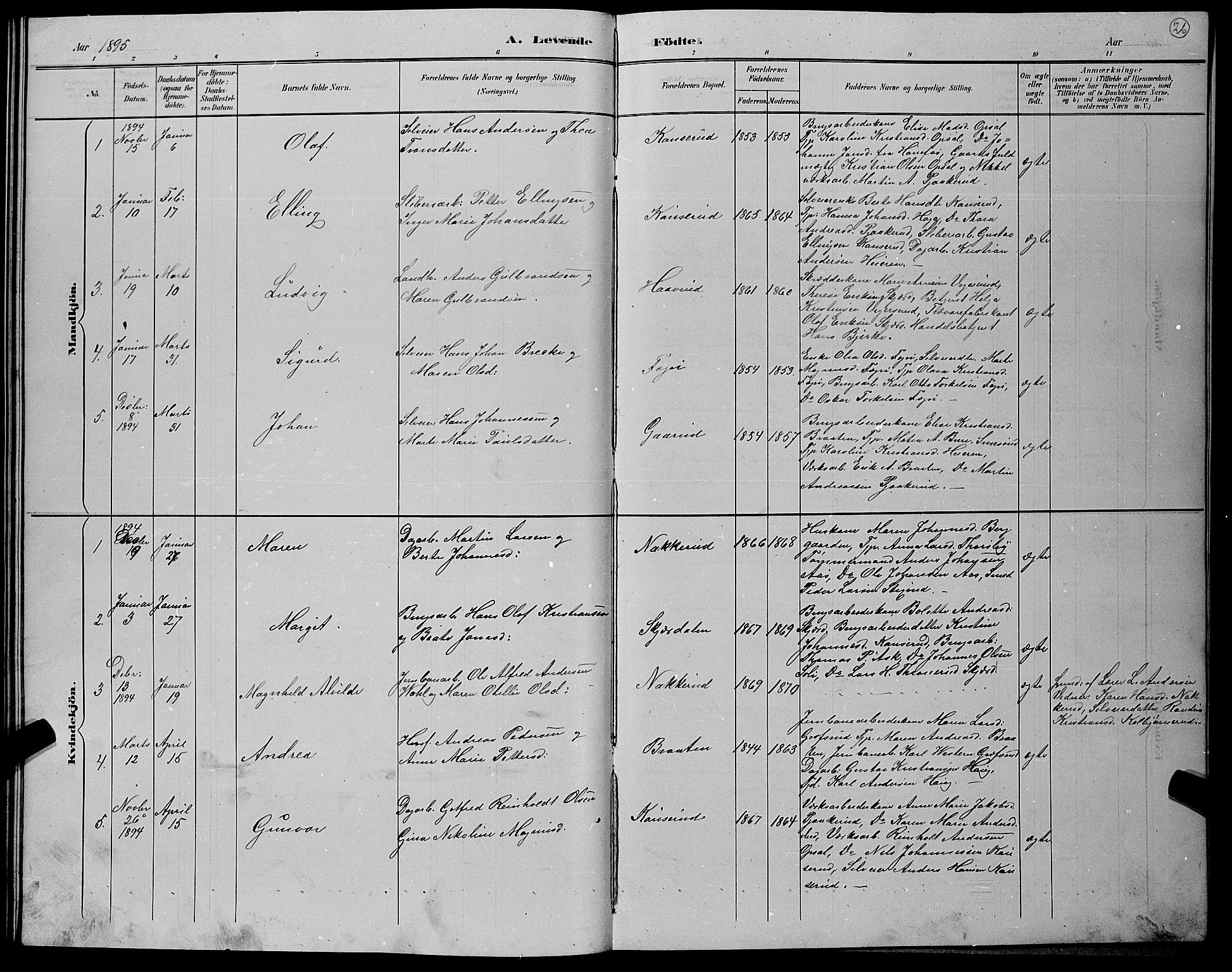 Hole kirkebøker, AV/SAKO-A-228/G/Gb/L0003: Parish register (copy) no. II 3, 1890-1901, p. 26