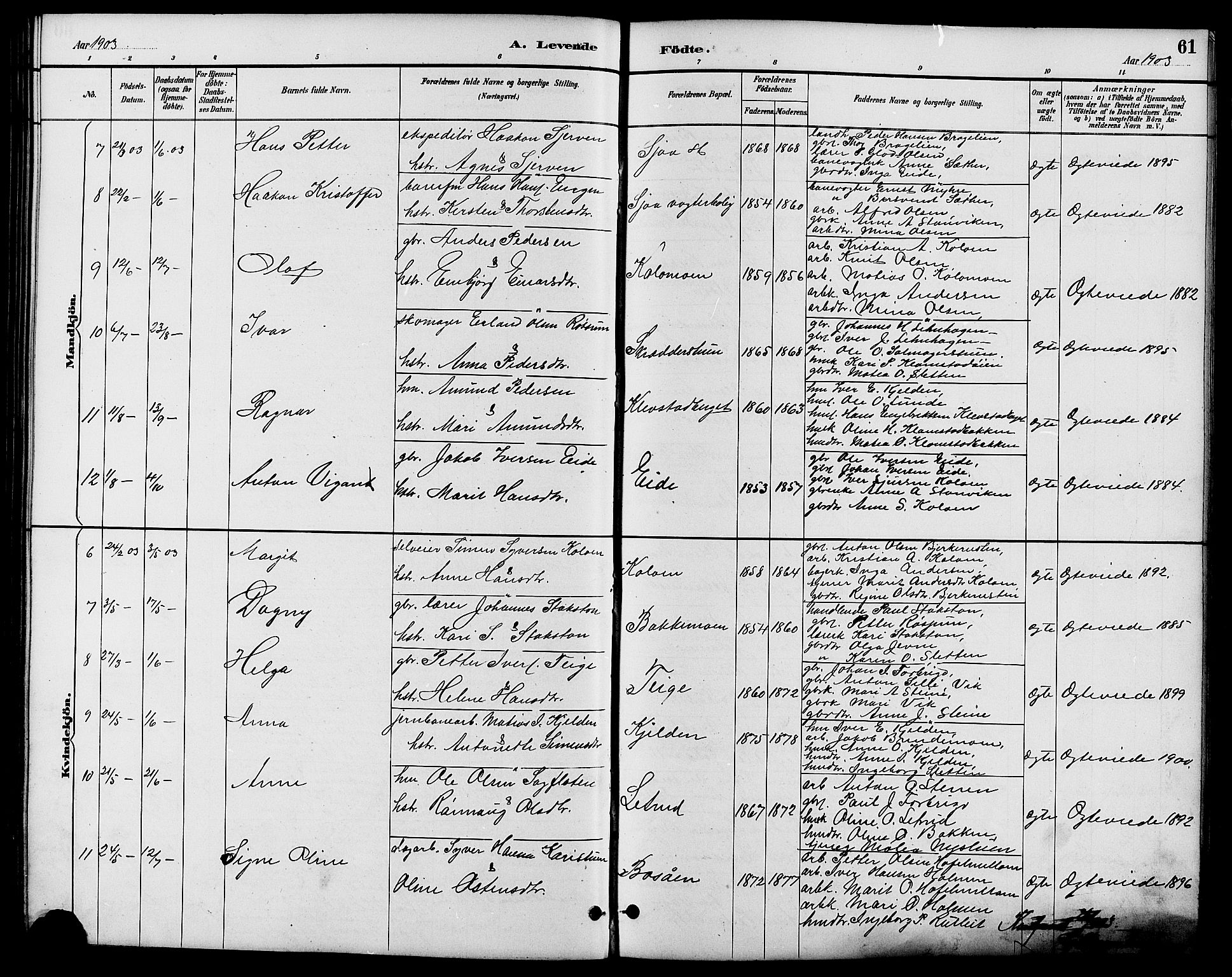 Nord-Fron prestekontor, SAH/PREST-080/H/Ha/Hab/L0006: Parish register (copy) no. 6, 1887-1914, p. 61
