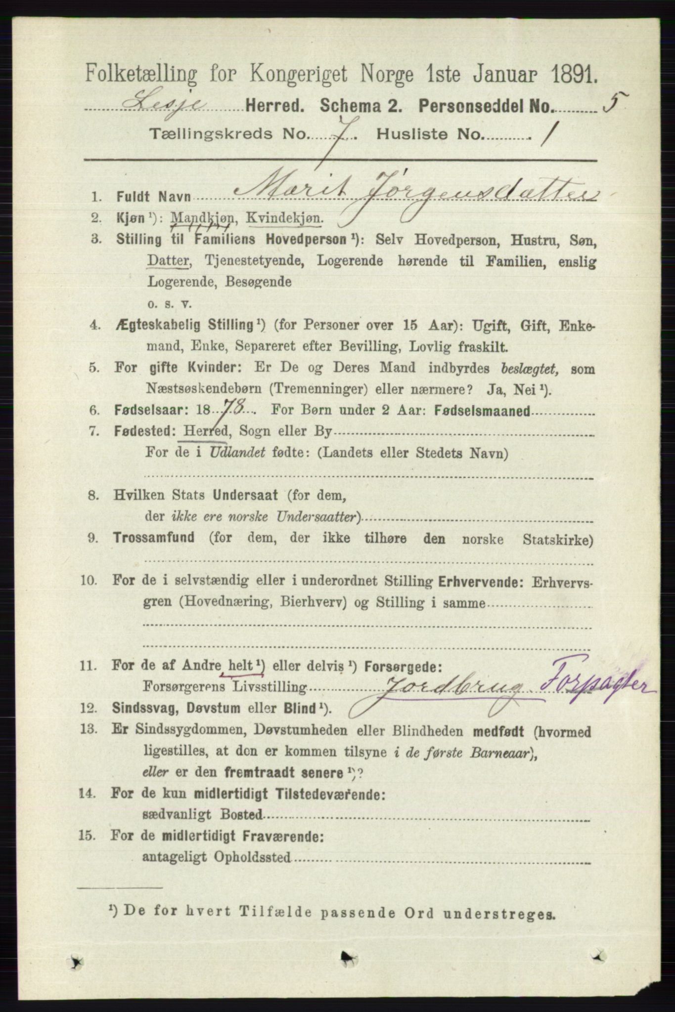 RA, 1891 census for 0512 Lesja, 1891, p. 2496