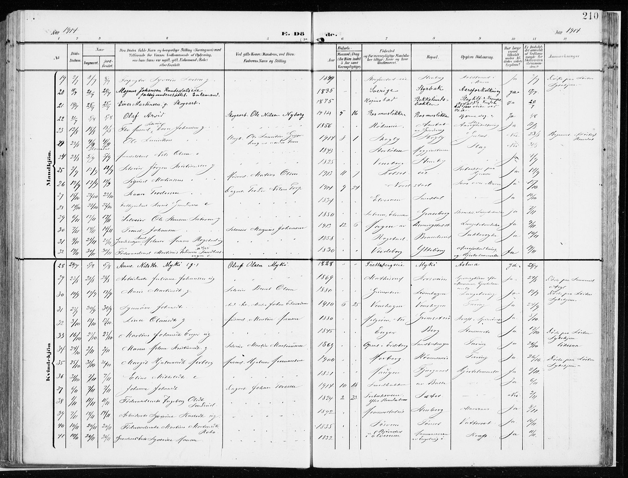 Løten prestekontor, AV/SAH-PREST-022/K/Ka/L0011: Parish register (official) no. 11, 1908-1917, p. 210