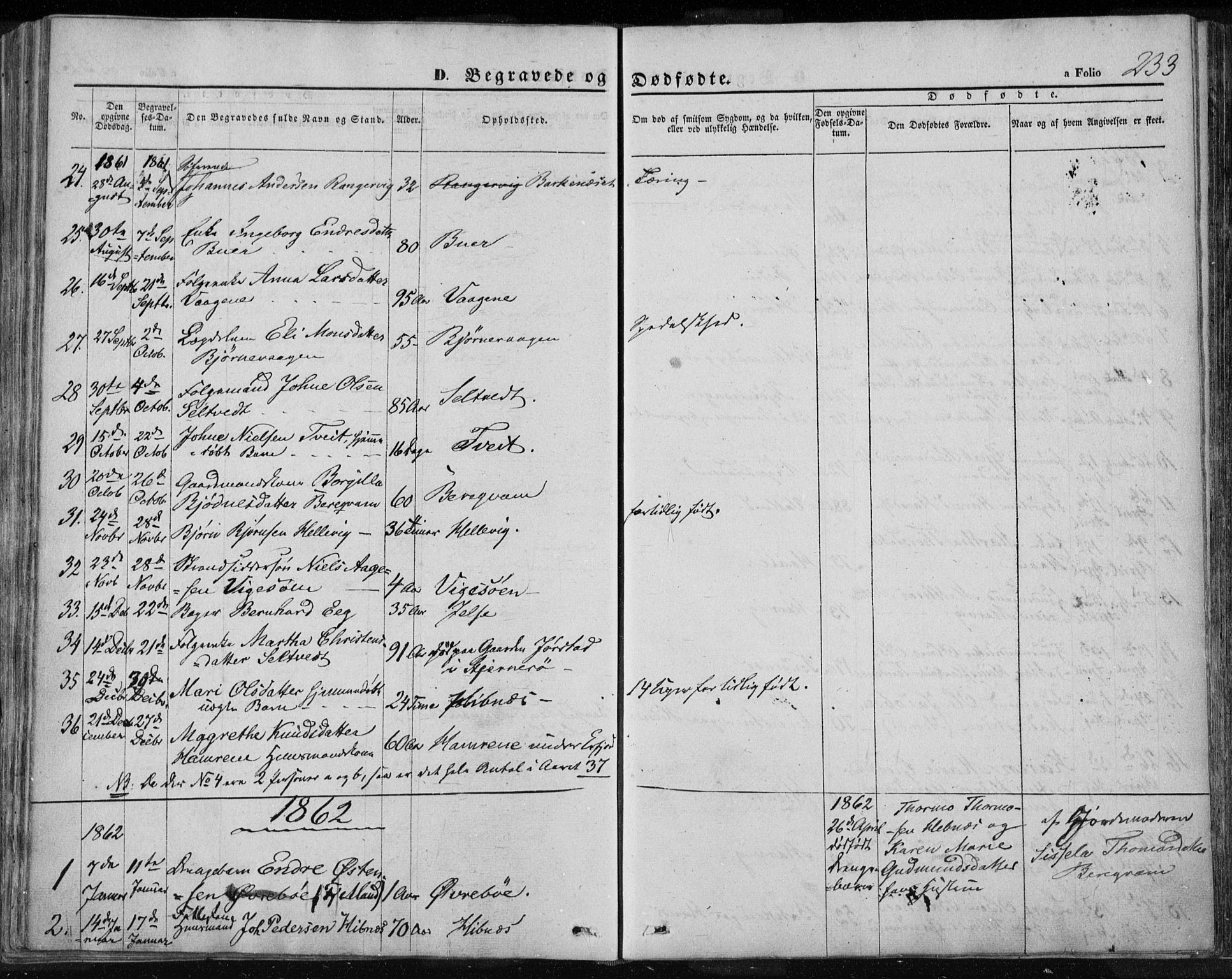 Jelsa sokneprestkontor, SAST/A-101842/01/IV: Parish register (official) no. A 7, 1854-1866, p. 233