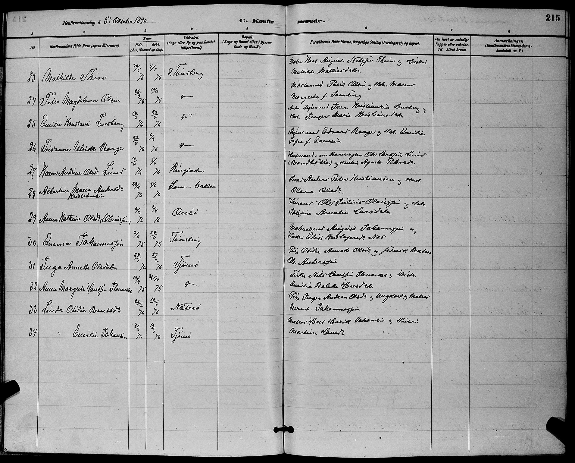 Tønsberg kirkebøker, AV/SAKO-A-330/G/Ga/L0006: Parish register (copy) no. 6, 1885-1895, p. 215