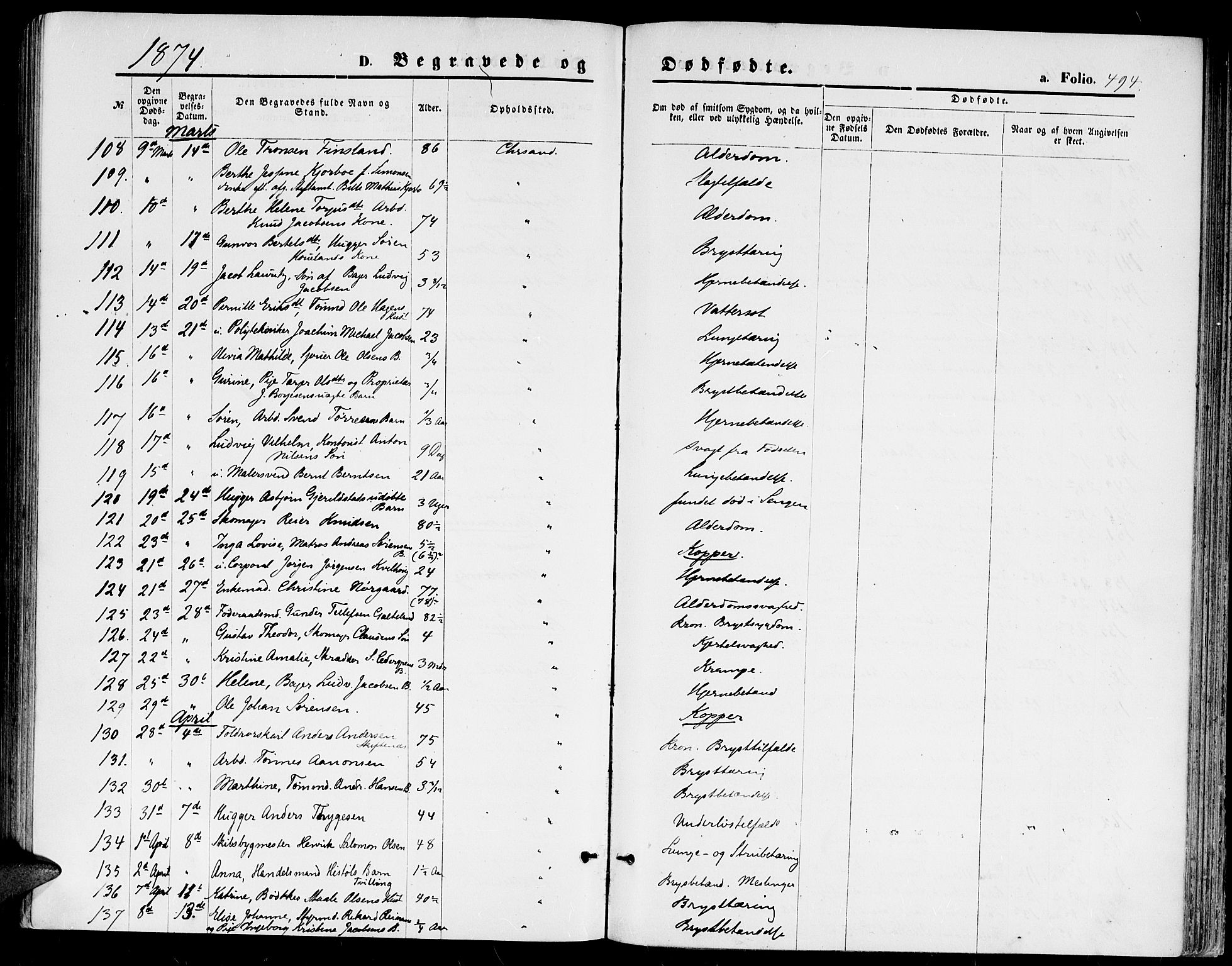 Kristiansand domprosti, AV/SAK-1112-0006/F/Fb/L0013: Parish register (copy) no. B 13, 1871-1880, p. 494