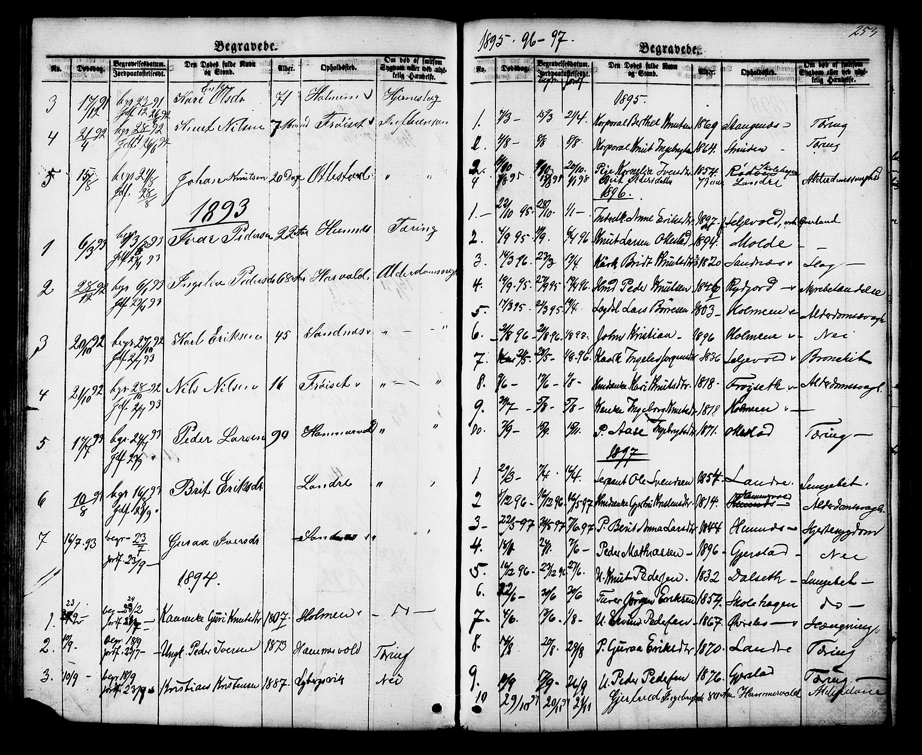 Ministerialprotokoller, klokkerbøker og fødselsregistre - Møre og Romsdal, SAT/A-1454/548/L0614: Parish register (copy) no. 548C02, 1867-1917, p. 253