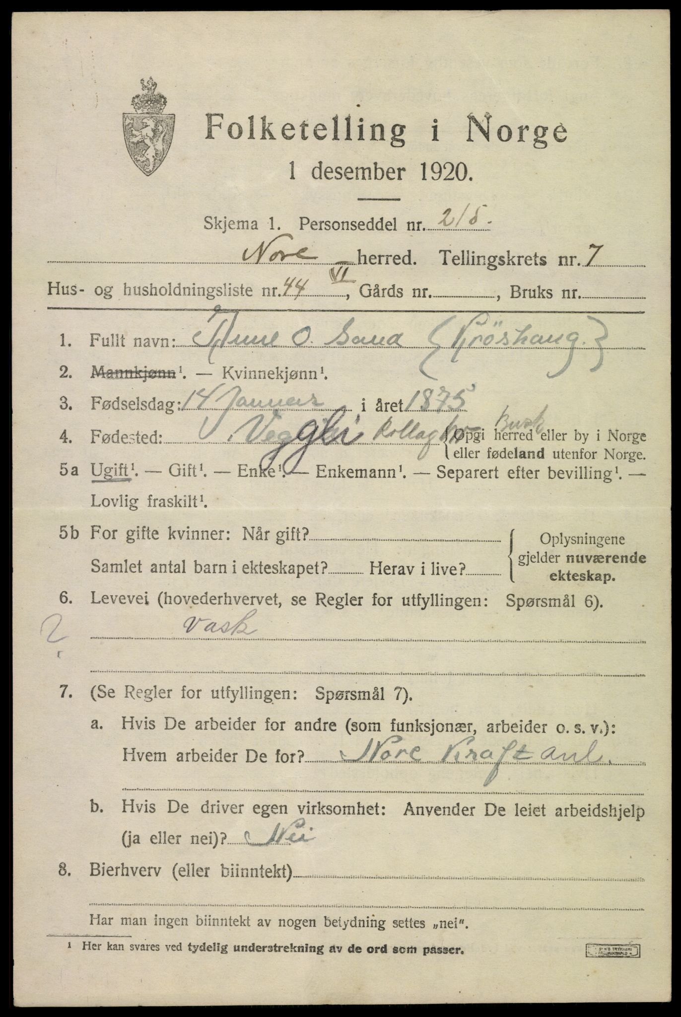 SAKO, 1920 census for Nore, 1920, p. 3996