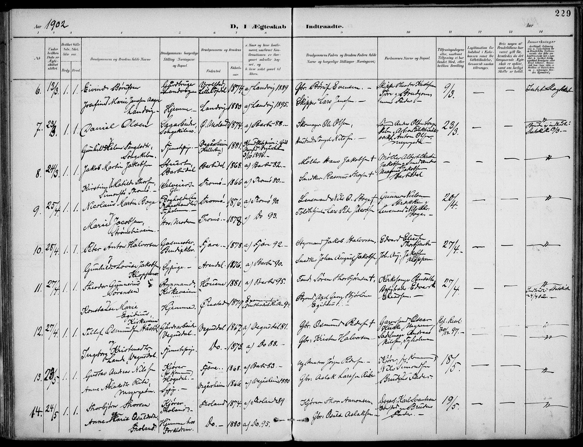 Barbu sokneprestkontor, AV/SAK-1111-0003/F/Fa/L0005: Parish register (official) no. A 5, 1899-1909, p. 229