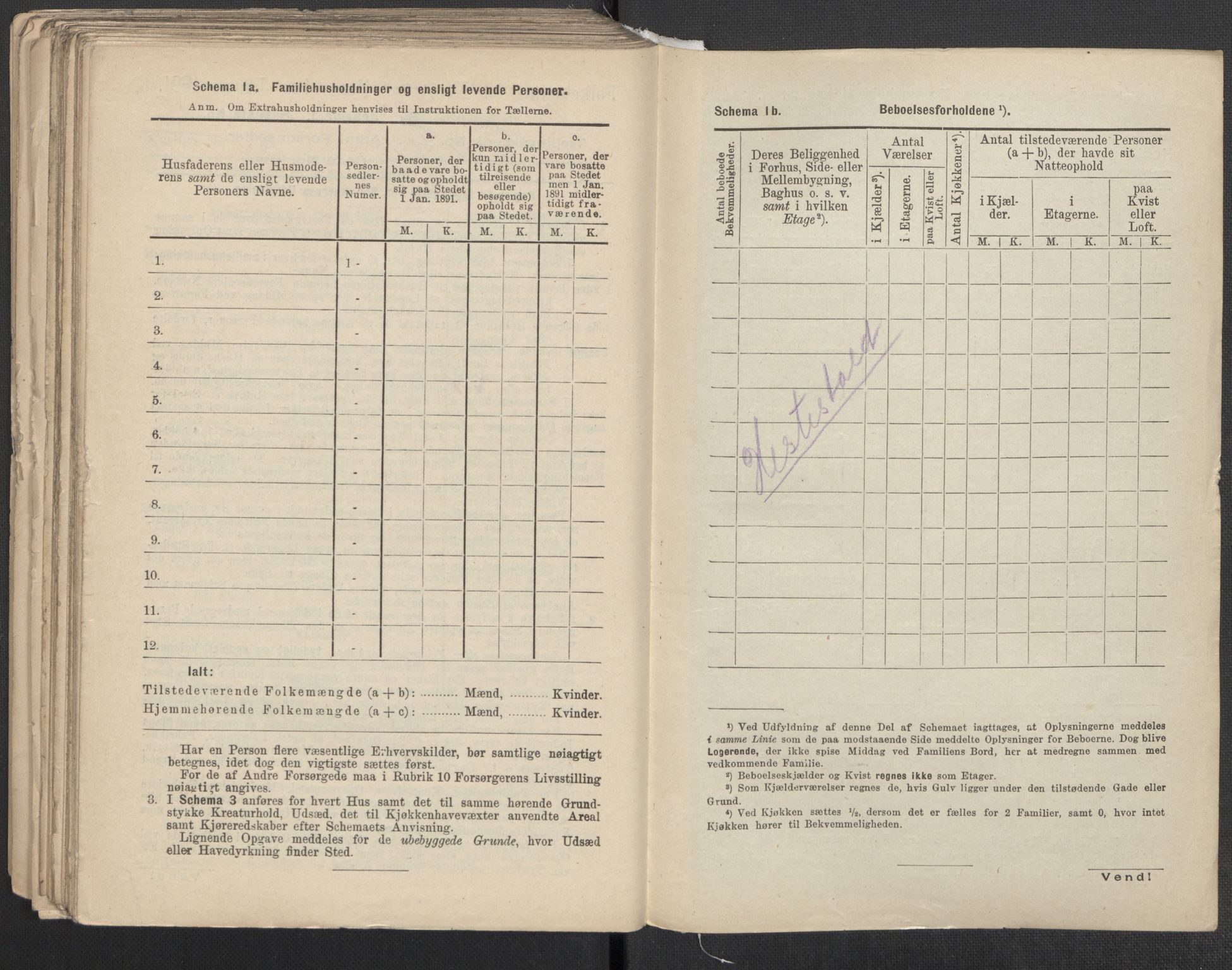 RA, 1891 Census for 1301 Bergen, 1891, p. 1005