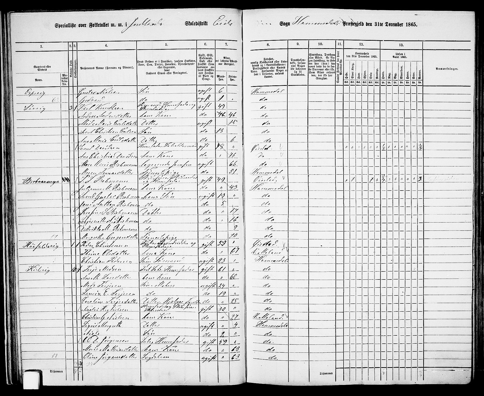 RA, 1865 census for Homedal, 1865, p. 36