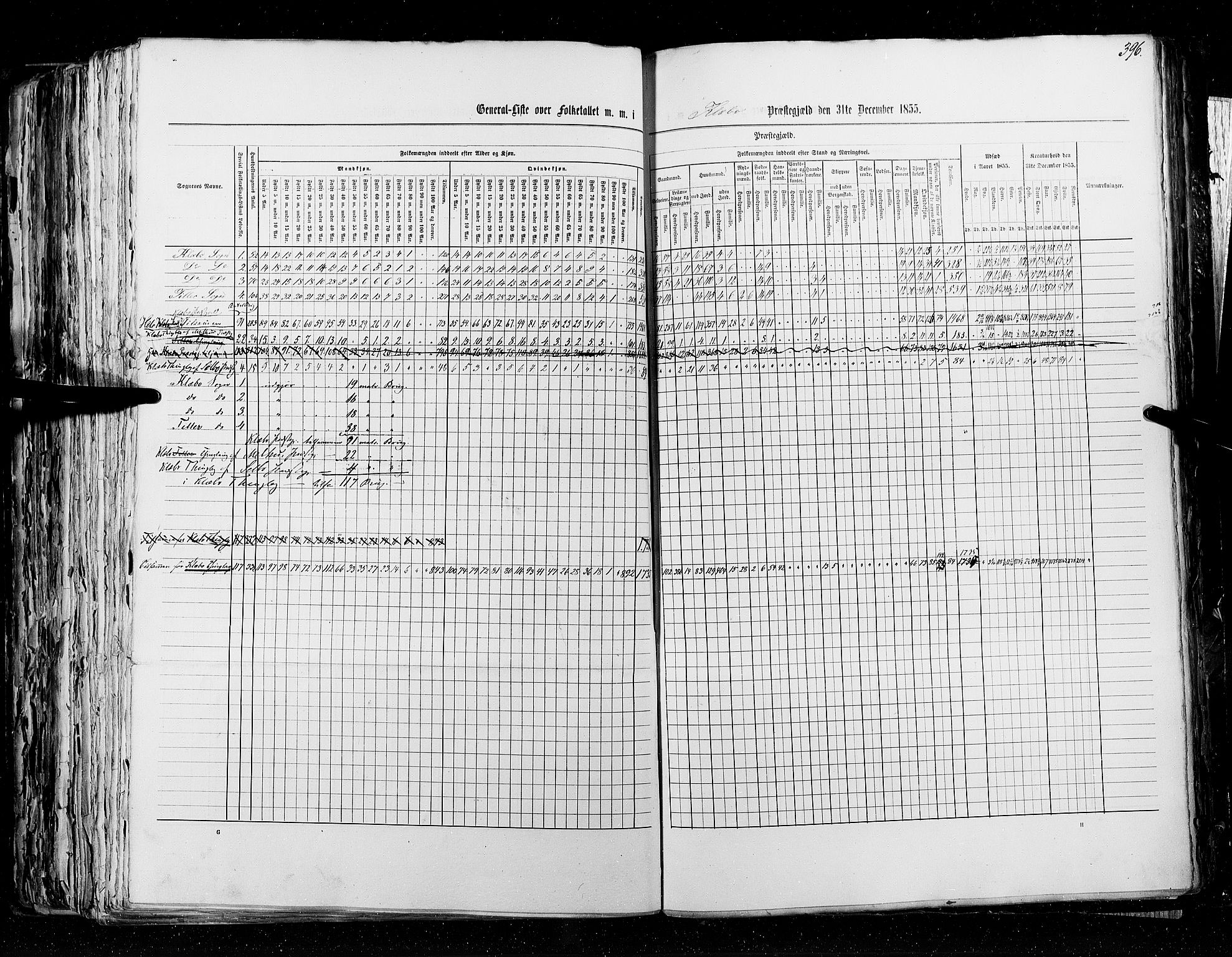 RA, Census 1855, vol. 5: Nordre Bergenhus amt, Romsdal amt og Søndre Trondhjem amt, 1855, p. 396