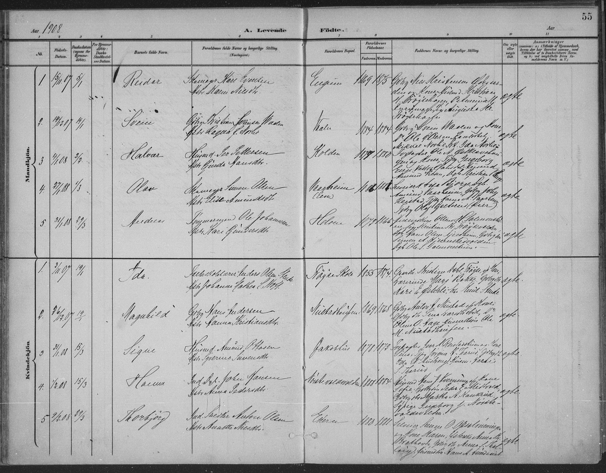 Østre Gausdal prestekontor, SAH/PREST-092/H/Ha/Haa/L0004: Parish register (official) no. 4, 1898-1914, p. 55