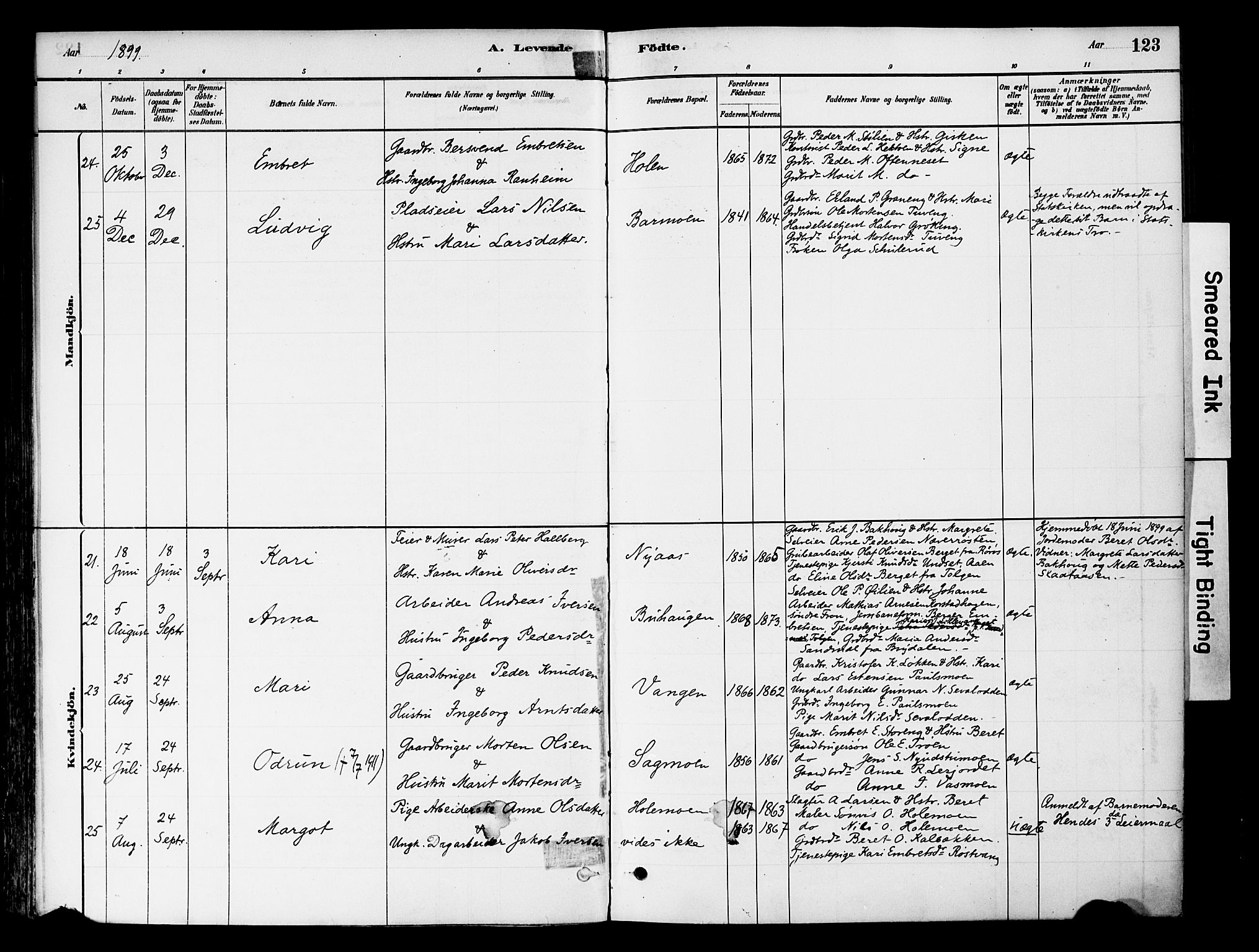 Tynset prestekontor, AV/SAH-PREST-058/H/Ha/Haa/L0022: Parish register (official) no. 22, 1880-1899, p. 123