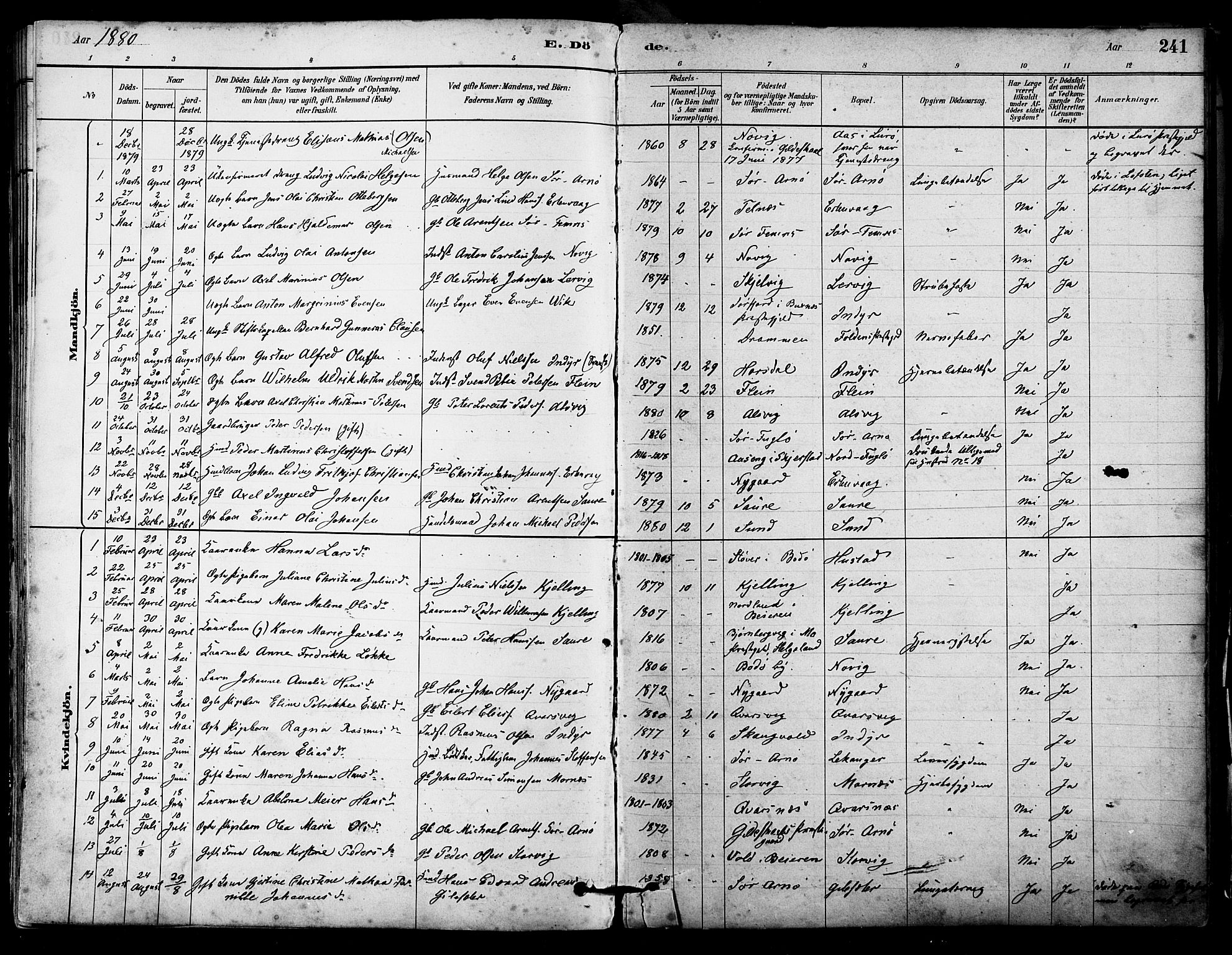 Ministerialprotokoller, klokkerbøker og fødselsregistre - Nordland, AV/SAT-A-1459/805/L0099: Parish register (official) no. 805A06, 1880-1891, p. 241